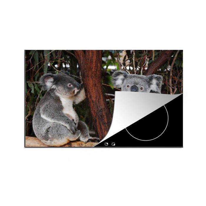 MuchoWow Herdblende-/Abdeckplatte Zwei Koala-Bären auf einem Ast - Kinder - Jungen - Mädchen Vinyl (1 tlg) Ceranfeldabdeckung für die küche Induktionsmatte