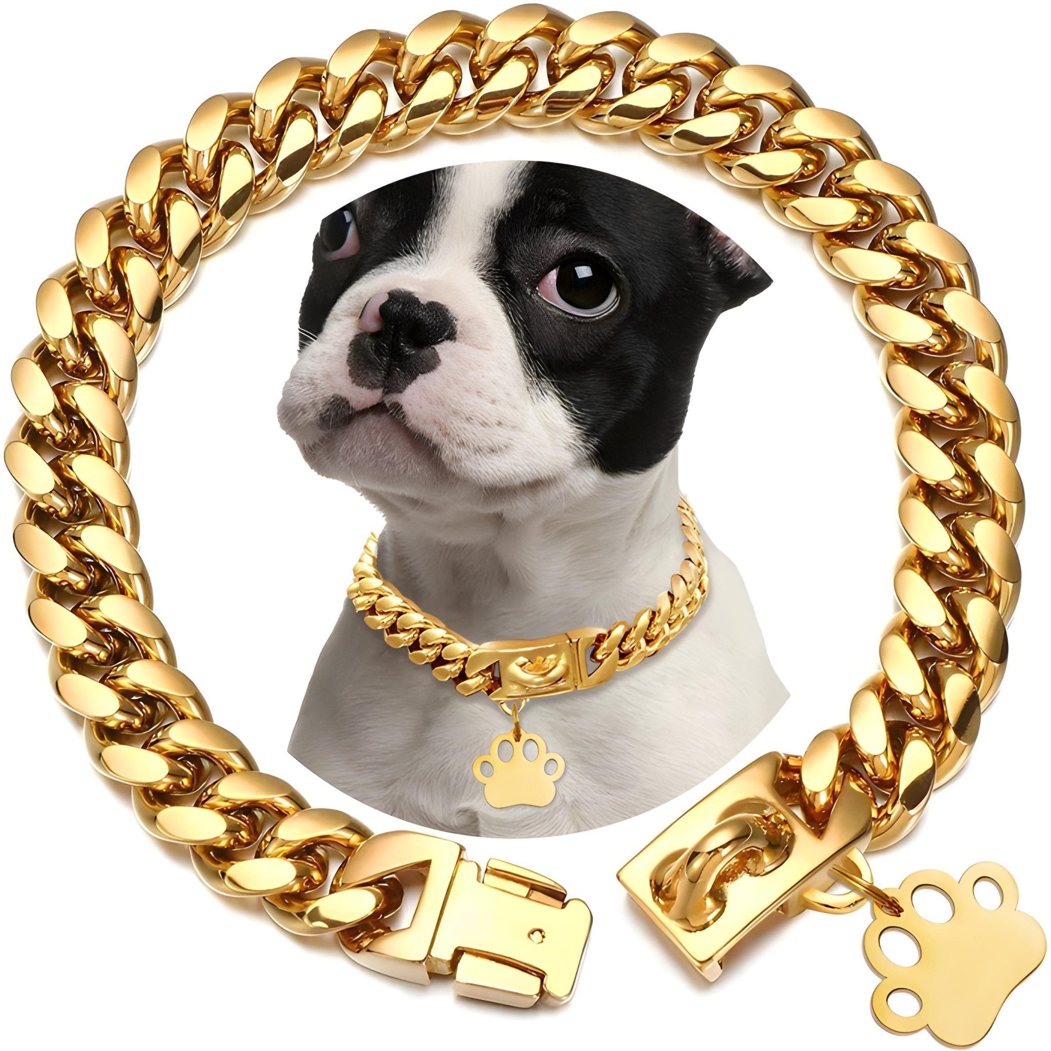 Hunde-Halsband Hundekette aus Edelstahl inkl. Hundeleine