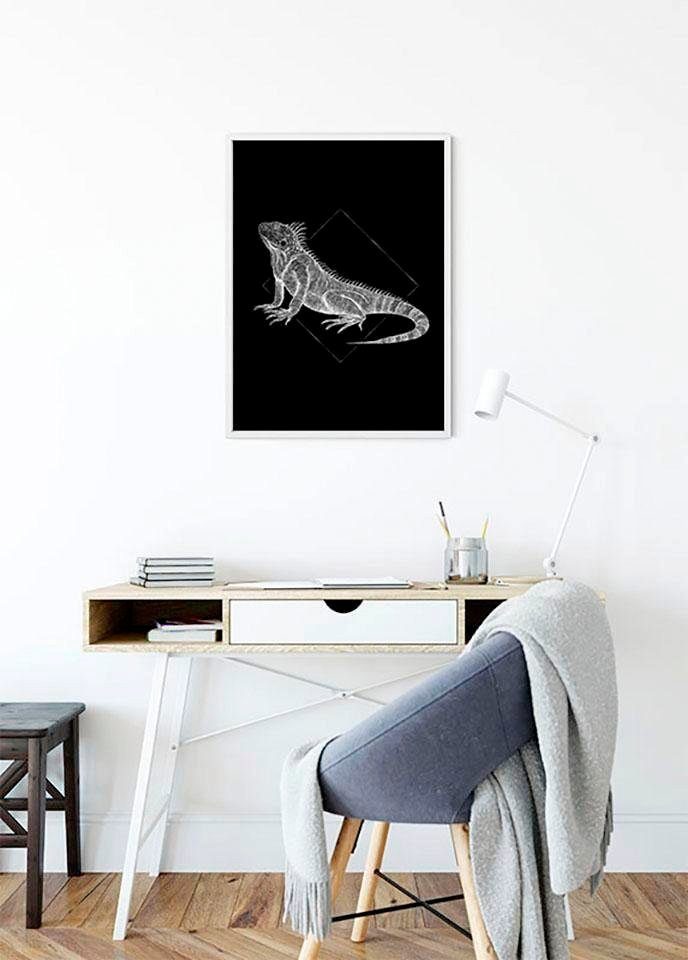 Black, Komar Iguana Poster Kinderzimmer, Wohnzimmer Schlafzimmer, (1 Tiere St),