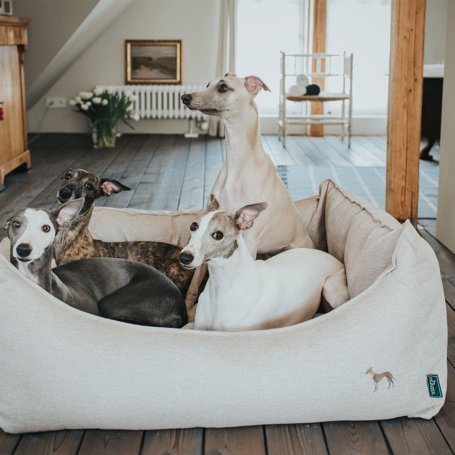 Hunter Tierbedarf Tierbett Hundesofa Livingston – Bild 5 von 5