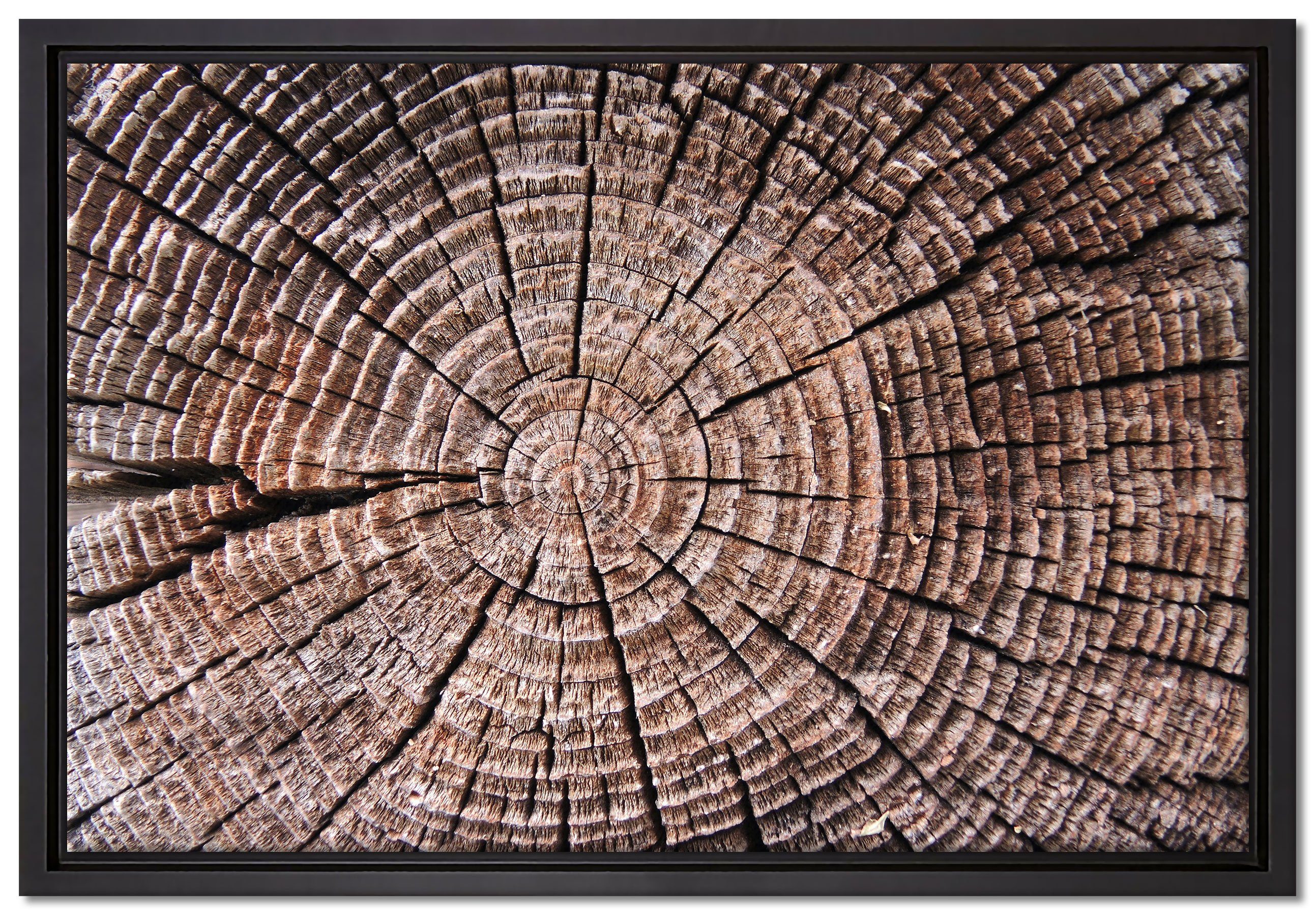 Pixxprint Leinwandbild Baumstamm Jahresringe, Wanddekoration (1 St), Leinwandbild fertig bespannt, in einem Schattenfugen-Bilderrahmen gefasst, inkl. Zackenaufhänger