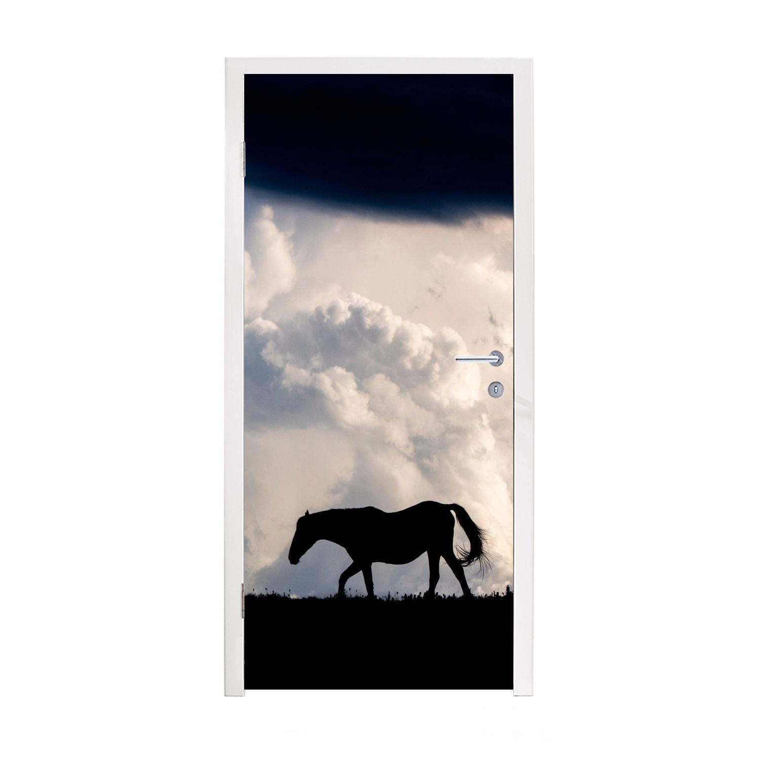 MuchoWow Türtapete Pferd - Wolken - Schatten, Matt, bedruckt, (1 St), Fototapete für Tür, Türaufkleber, 75x205 cm