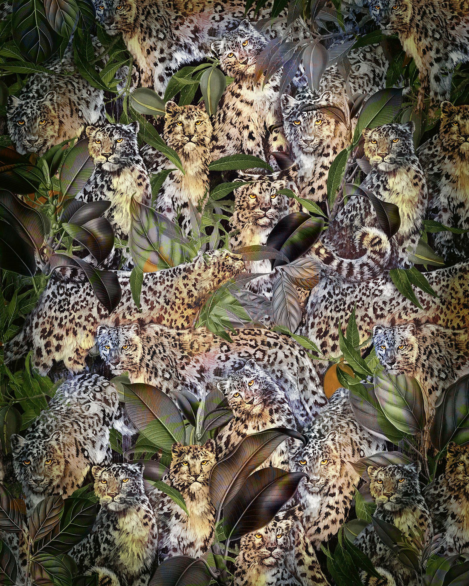 Komar Vliestapete Digitaldruck Vlies - Wild Cats - Größe 200 x 250 cm, glatt, bedruckt, (4 St), Wohnzimmer, Schlafzimmer
