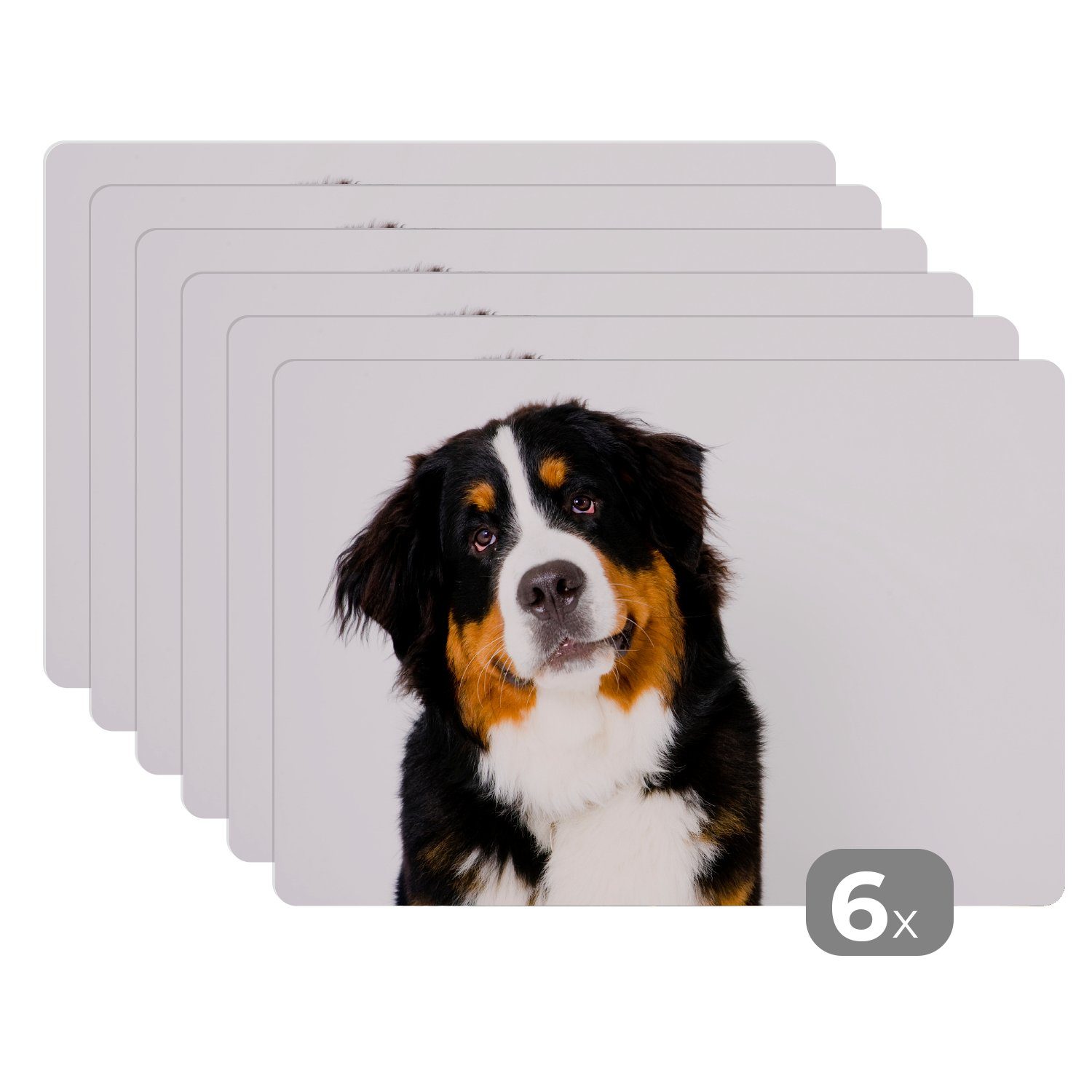 Platzset, Porträtfoto eines Berner Sennenhundes, MuchoWow, (6-St), Platzset, Platzdecken, Platzmatte, Tischmatten, Schmutzabweisend