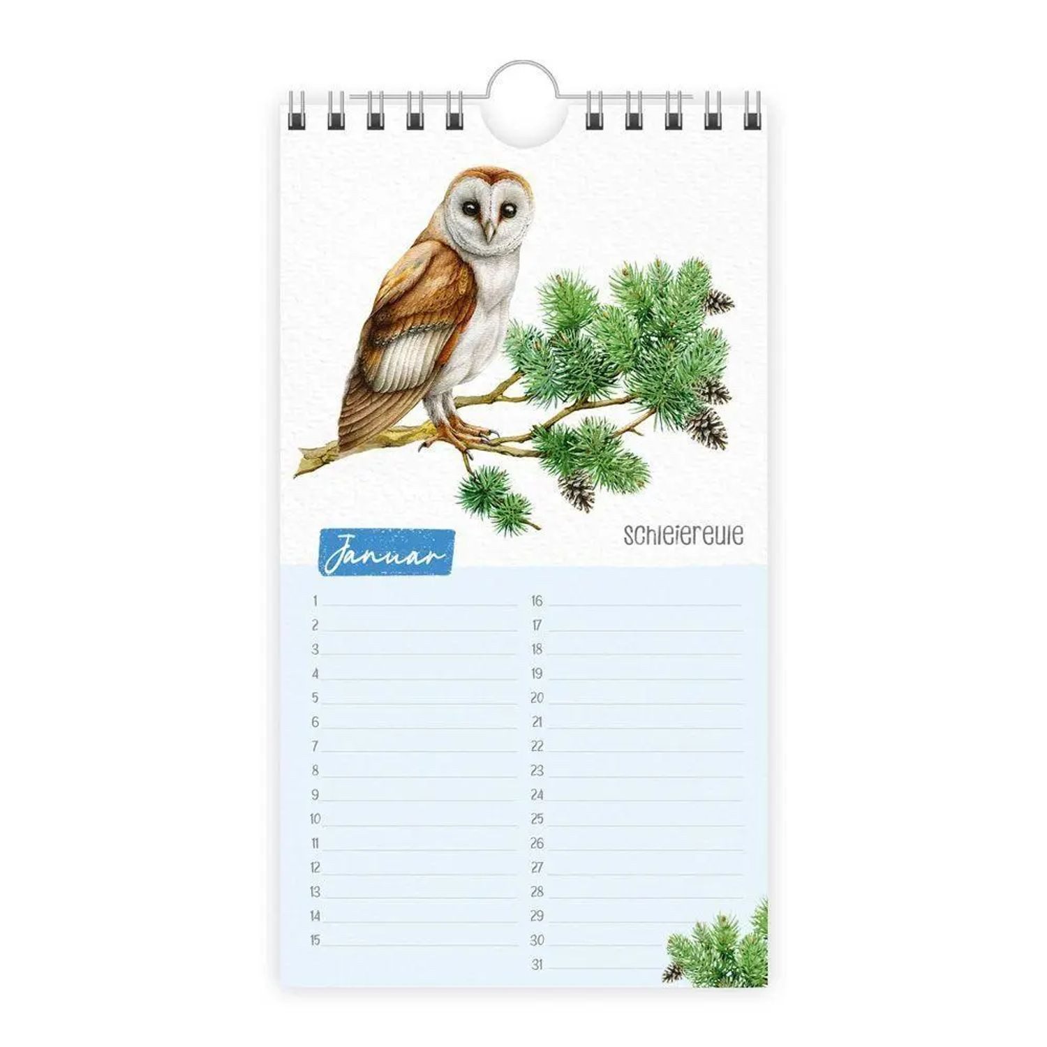 Trötsch Verlag Wandkalender Trötsch Geburtstagskalender Unsere Vogelwelt
