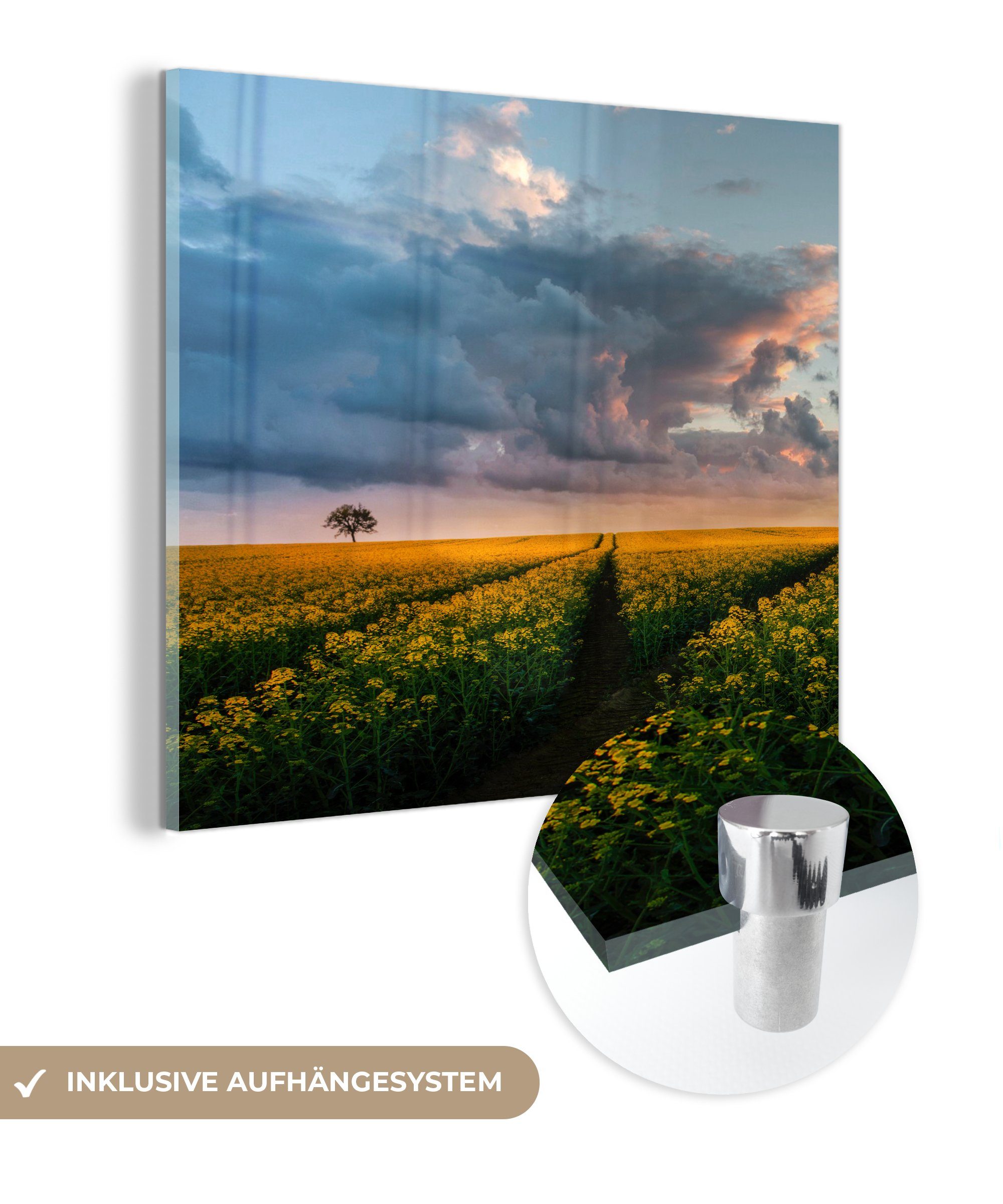 Acrylglasbild - Wandbild Sonnenuntergang, Bilder - - auf Wanddekoration Blumen auf Glas - Glasbilder St), Foto MuchoWow (1 - Gelb Glas