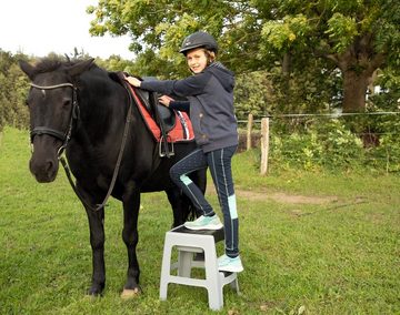 ONDIS24 Hocker Sitzhocker mit Trittleiter und Staufach bis 150 kg Aufstiegshilfe, 150 kg