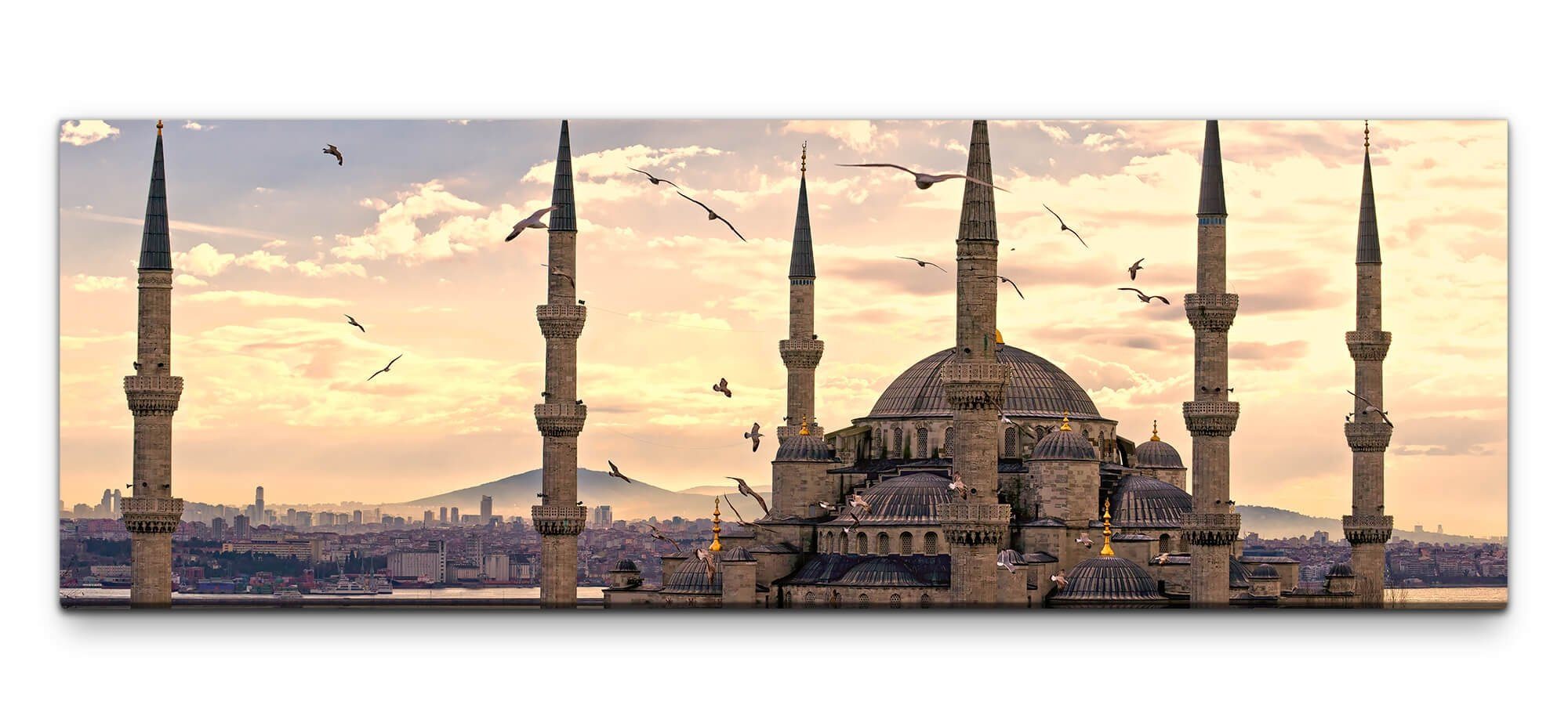 mit Leinwand Leinwandbild Vögeln auf Istanbul Wandbild möbel-direkt.de XXL Bilder