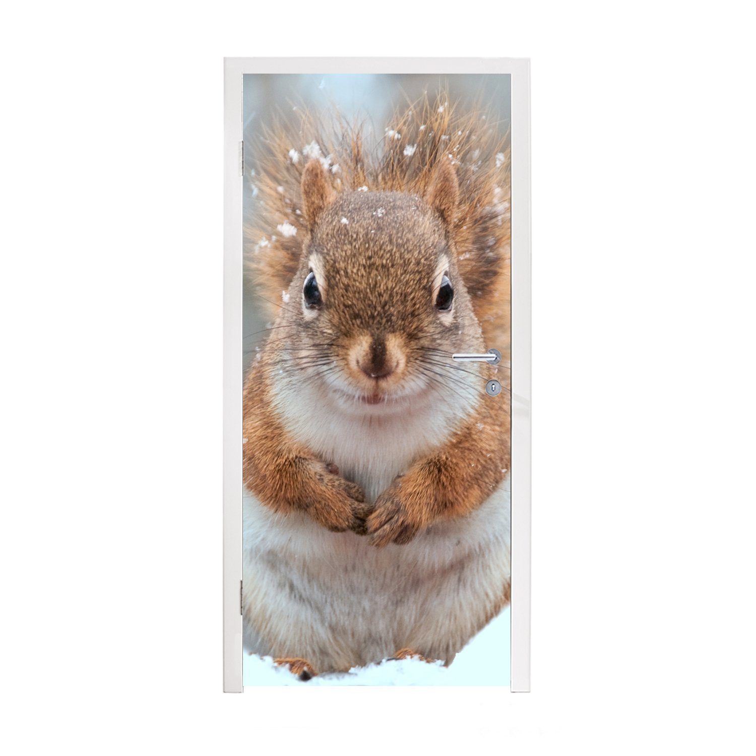 MuchoWow Türtapete Eichhörnchen - Nagetier - Schneeflocke - Winter, Matt, bedruckt, (1 St), Fototapete für Tür, Türaufkleber, 75x205 cm