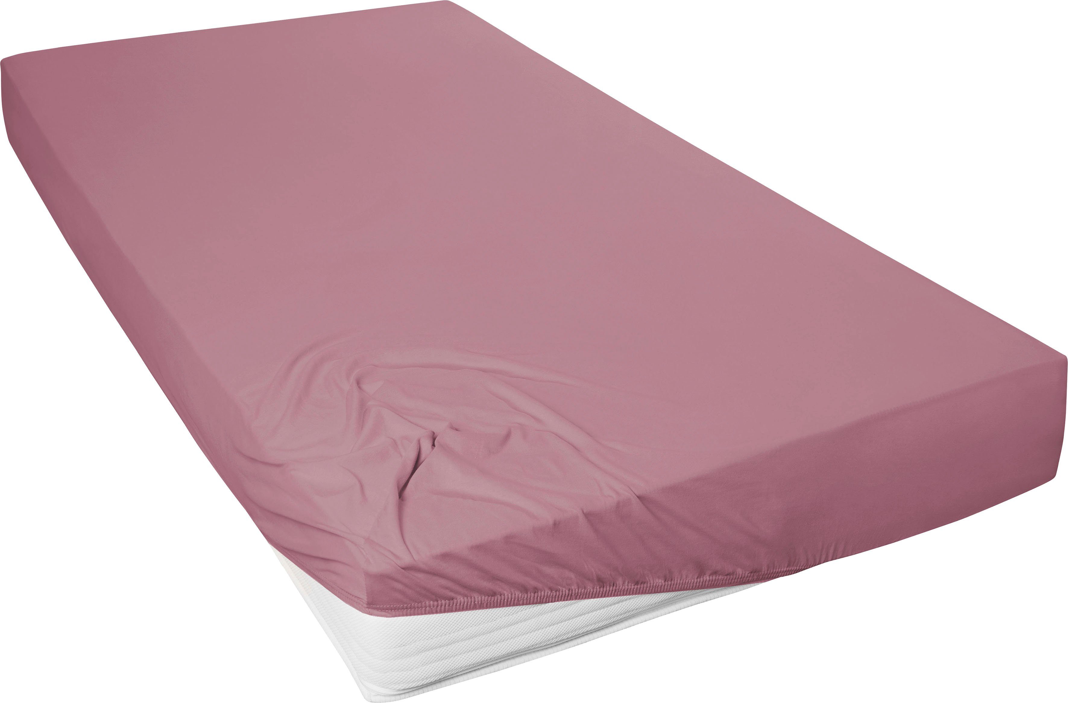 Primera Spannbettlaken Mako-Feinjersey Spannbetttuch, Mako-Jersey, Gummizug: rundum, (1 Stück), Geeignet für Standardmatratzen bis 22 cm, 100% Baumwolle