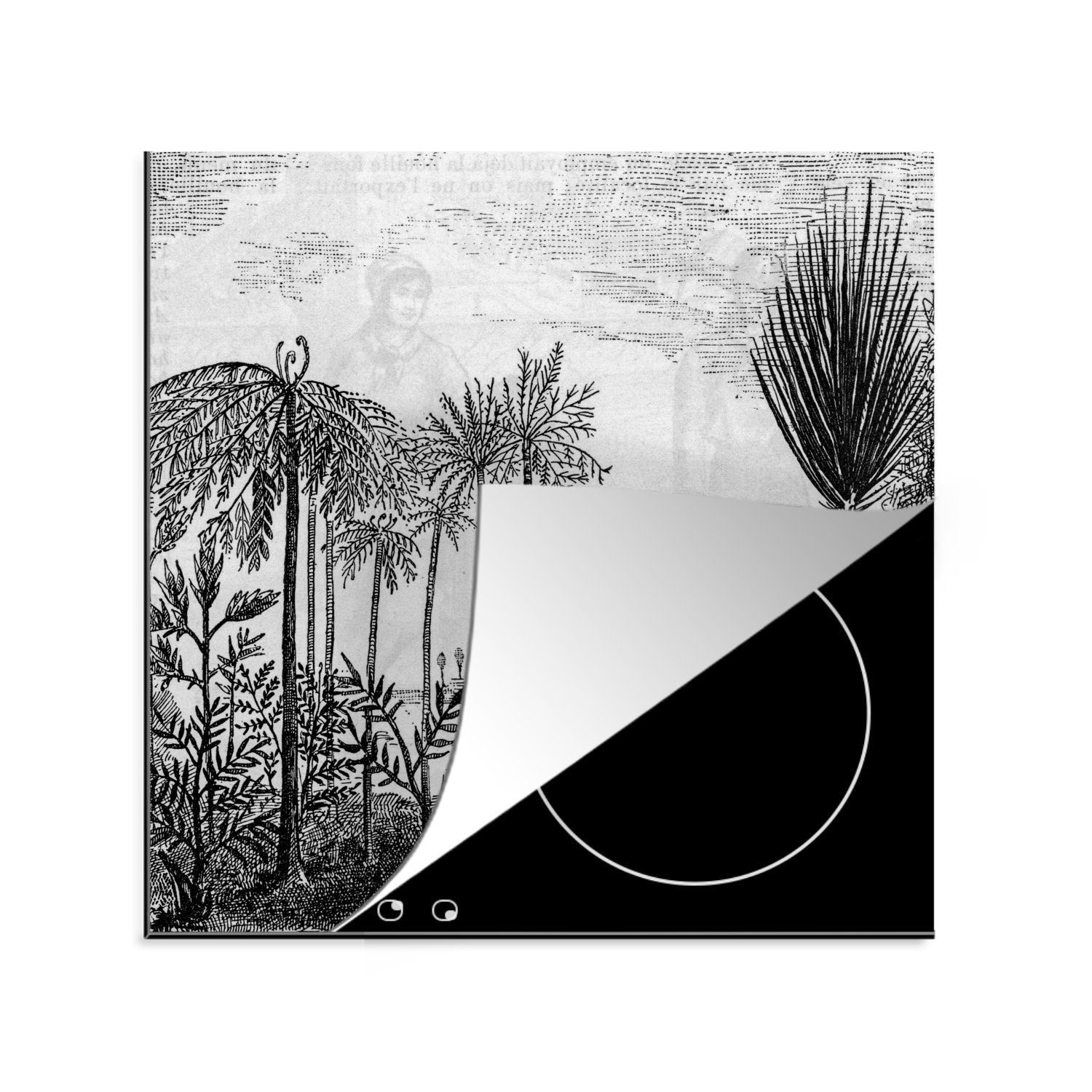 MuchoWow Herdblende-/Abdeckplatte Gestaltung - Bäume - Wasser - Natur, Vinyl, (1 tlg), 78x78 cm, Ceranfeldabdeckung, Arbeitsplatte für küche
