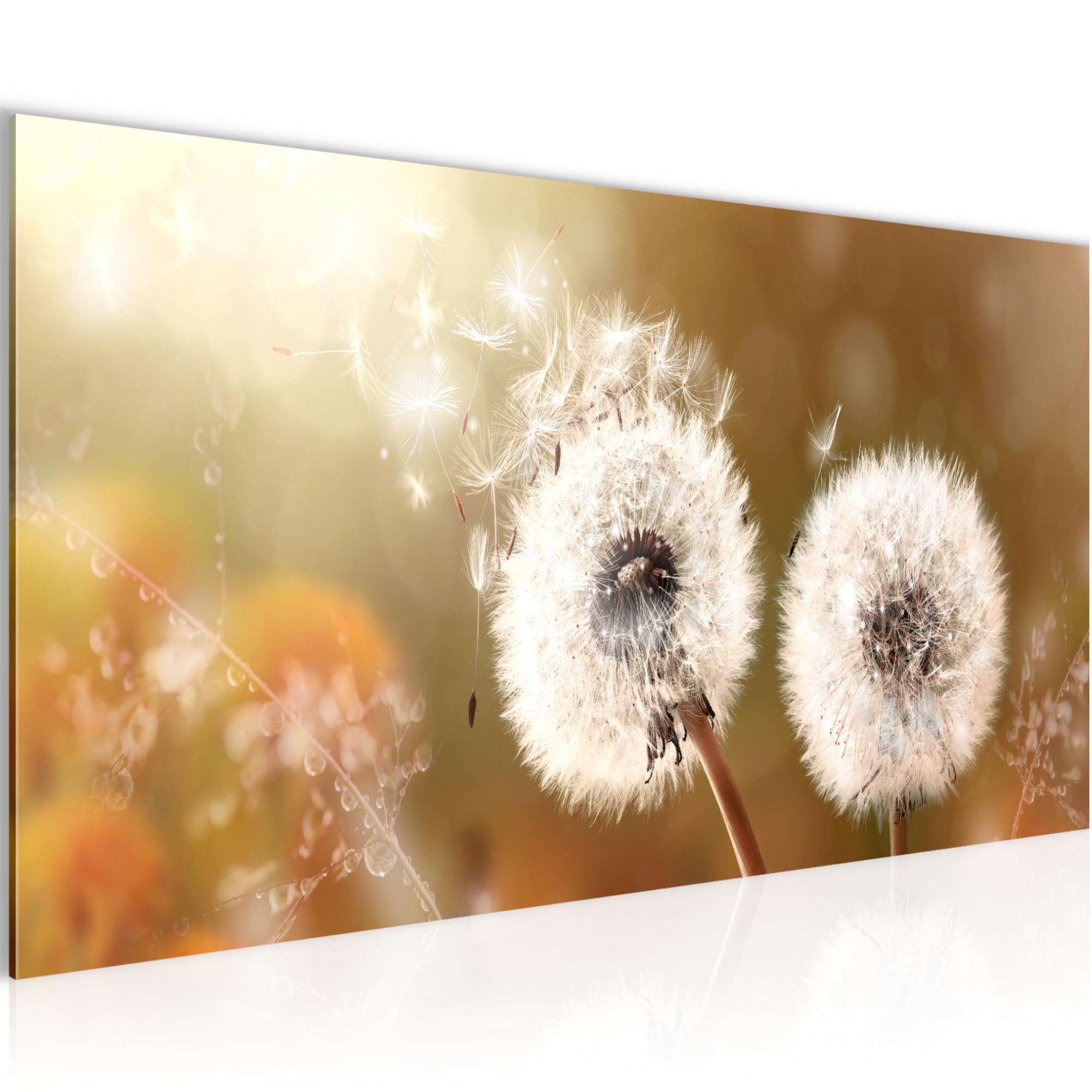 Runa Art Wandbild Wandbild Blumen Bilder XXL Wohnzimmer Schlafzimmer 100 x 40 cm, (1 St)