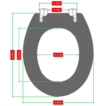 Grafner WC-Sitz WC Sitz aus MDF Motiv Muschel Toilettendeckel, Außenmaße (L x B): ca. 43 x 36,5 cm