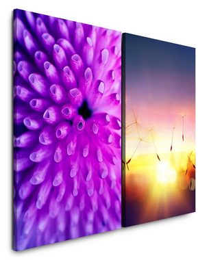Sinus Art Leinwandbild 2 Bilder je 60x90cm Koralle Pusteblume Sommer Samen Abendröte Abenddämmerung Sonnenstrahlen
