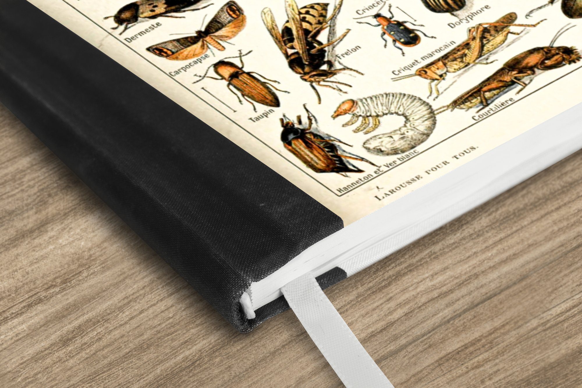 MuchoWow Notizbuch Tier - Insekt 98 Käfer, - Tagebuch, Journal, A5, Haushaltsbuch Seiten, Merkzettel, Notizheft