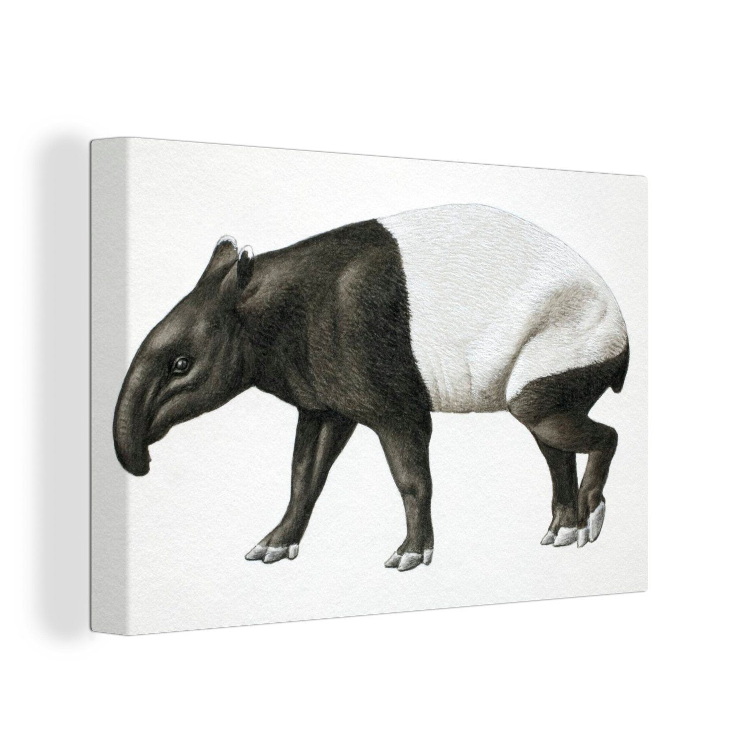OneMillionCanvasses® Leinwandbild Illustration eines Tapirs in Schwarz-Weiß beim Laufen., (1 St), Wandbild Leinwandbilder, Aufhängefertig, Wanddeko, 30x20 cm