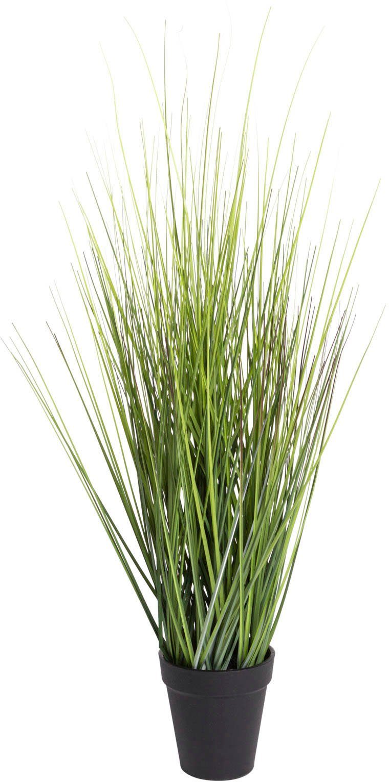Kunstgras Gras Festuca