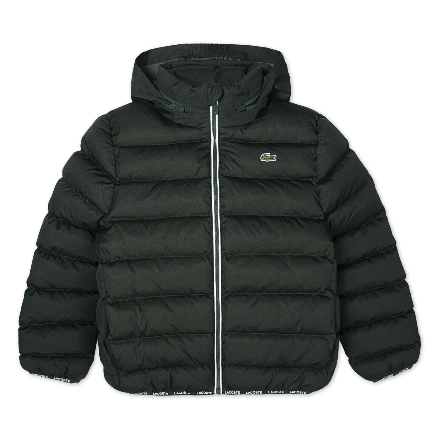 Lacoste Steppjacke Lacoste Kids Steppjacke dunkelgrün mit Kapuze wasserabweisend & warm