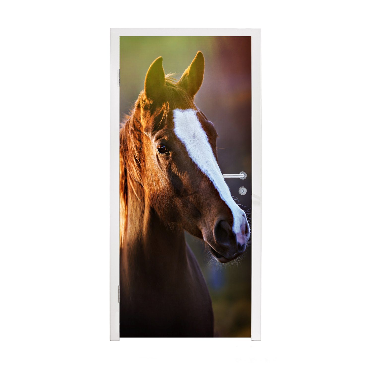 MuchoWow Türtapete Pferd - Licht - Mantel, Matt, bedruckt, (1 St), Fototapete für Tür, Türaufkleber, 75x205 cm