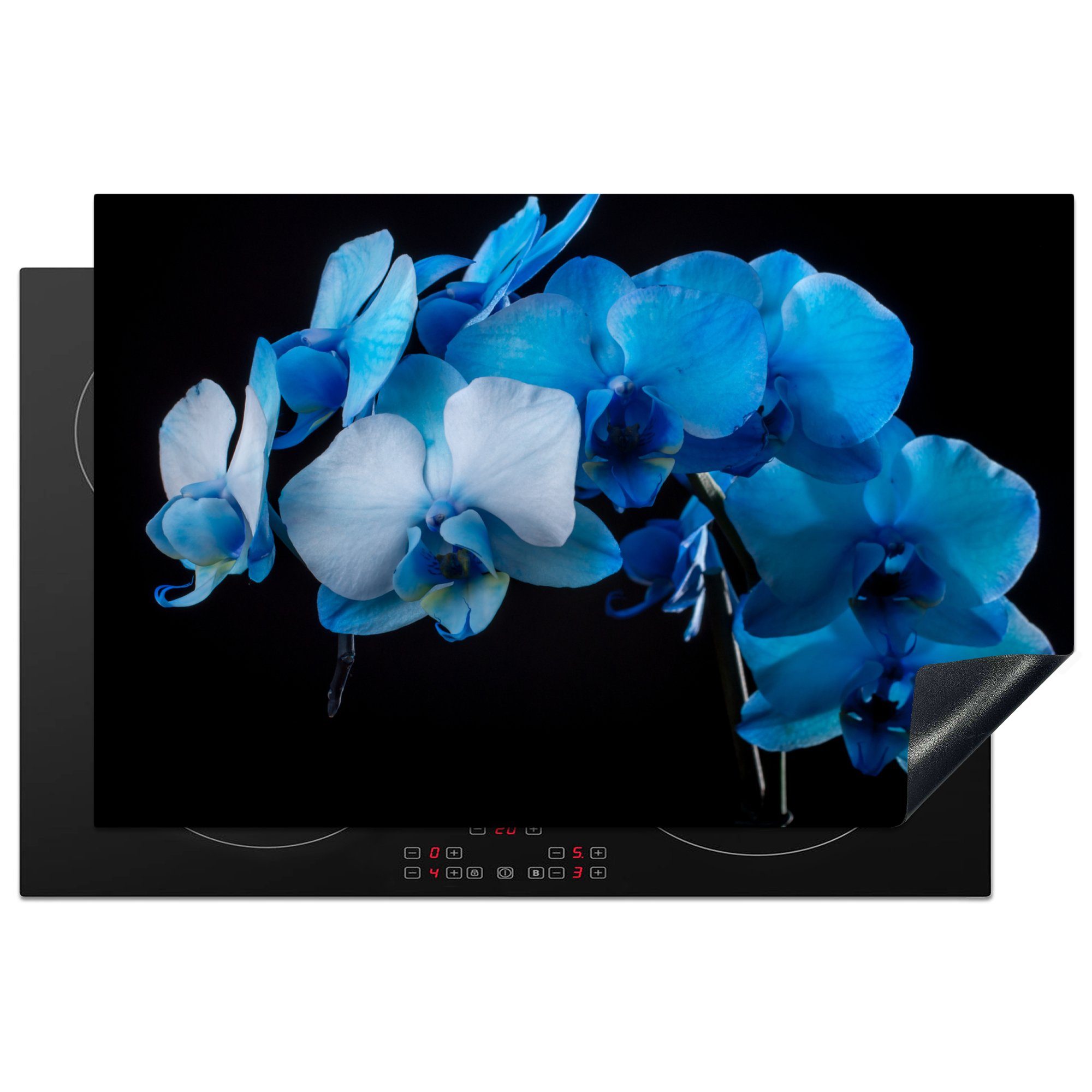 MuchoWow Herdblende-/Abdeckplatte Blaue Orchidee vor schwarzem Hintergrund, Vinyl, (1 tlg), 81x52 cm, Induktionskochfeld Schutz für die küche, Ceranfeldabdeckung