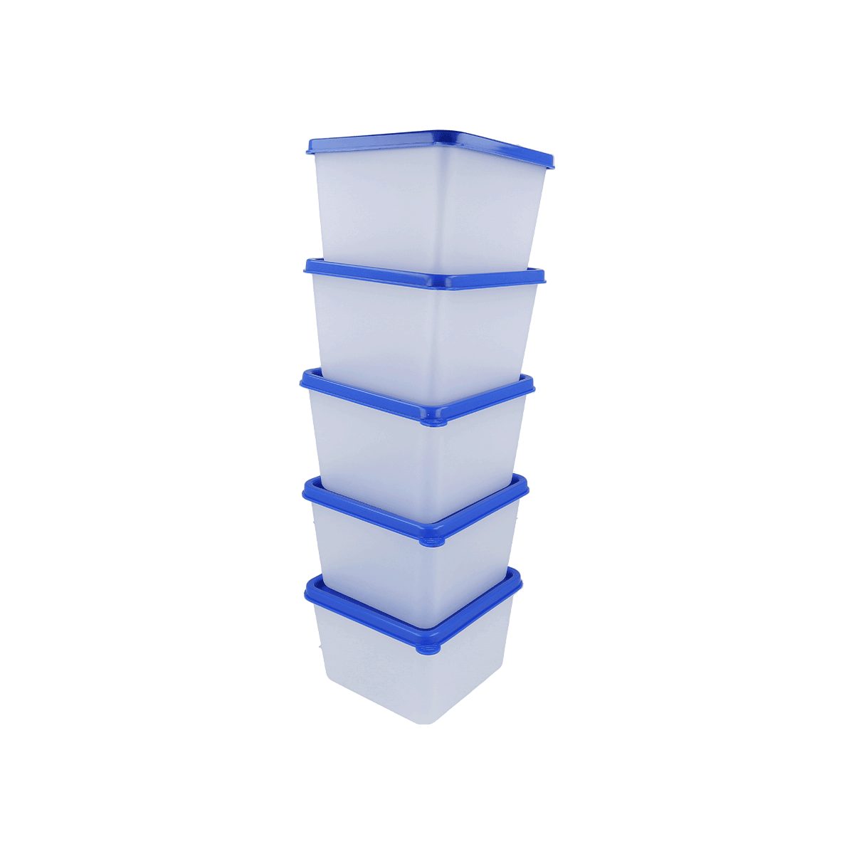 EUROHOME Vorratsdose Gefrierdosen Set 0,5L zum Frischhalten und Gefrieren, Kunststoff, (Set, 1-tlg., Frischhaltedose im 5er Set), Gefrierdosen mit fest Deckel - Vorratsdosen Set