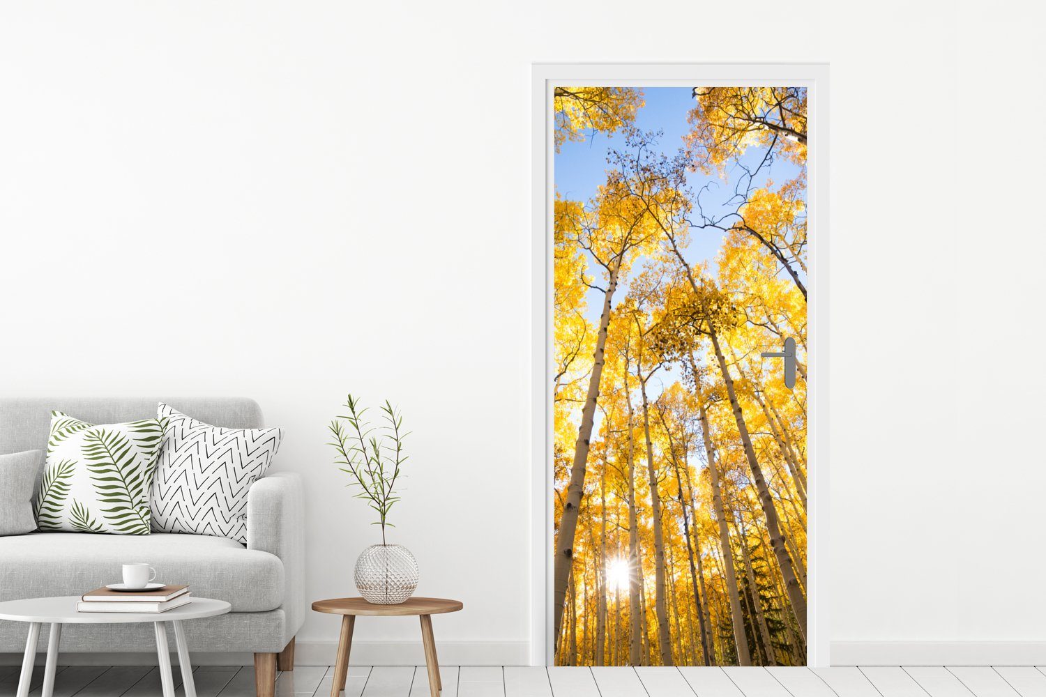 Türtapete cm Bäume - St), Herbst Fototapete 75x205 (1 Matt, Türaufkleber, Tür, bedruckt, MuchoWow Wald, - für