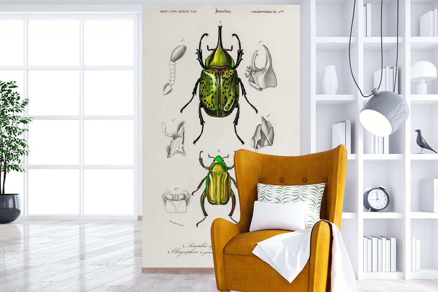- Insekten, Schlafzimmer, Käfer Wallpaper Tapete (3 für bedruckt, Matt, - Vinyl Jahrgang St), Kinderzimmer, MuchoWow Wohnzimmer, Fototapete