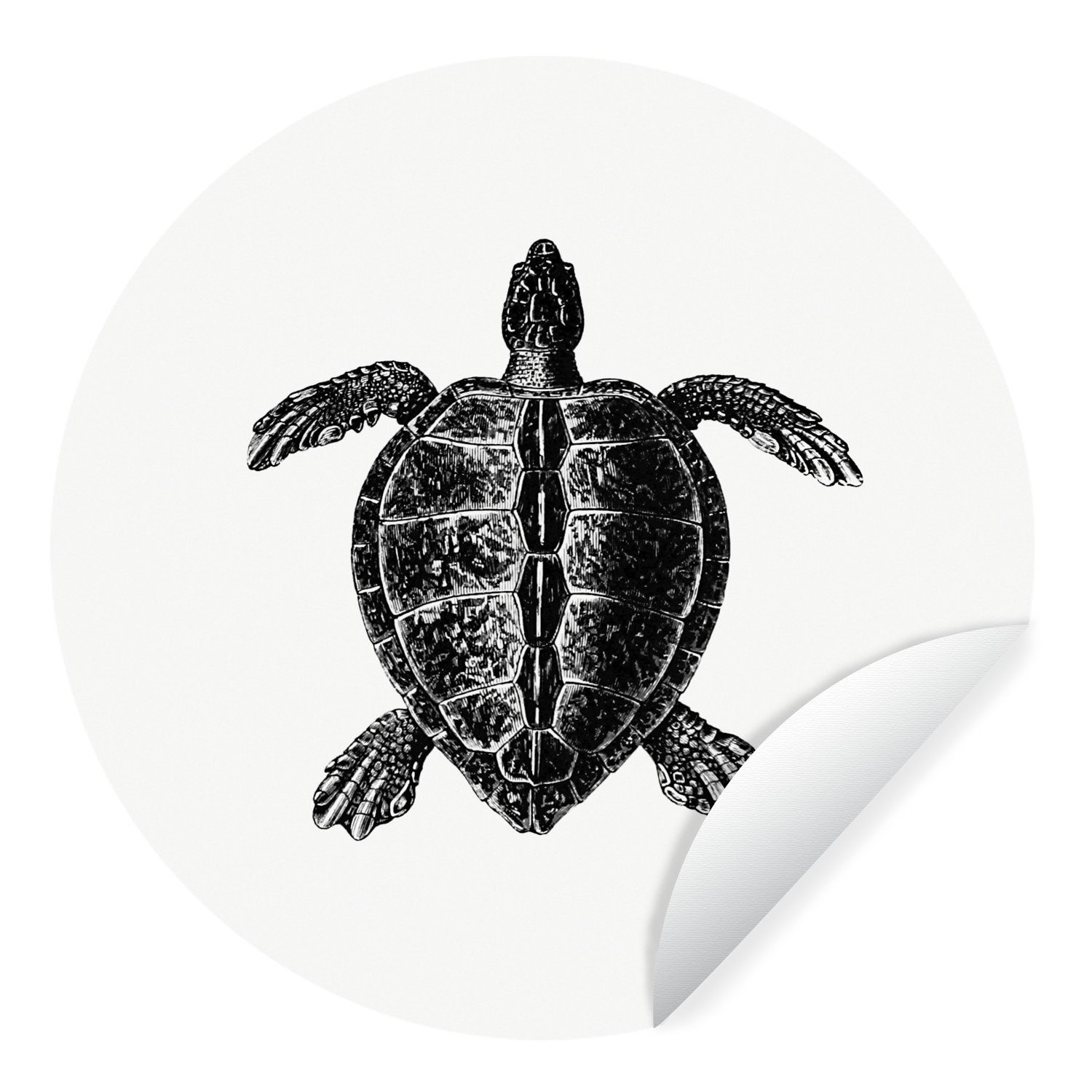 MuchoWow Wandsticker Jahrgang - Schildkröte - Tiere (1 St), Tapetenkreis für Kinderzimmer, Tapetenaufkleber, Rund, Wohnzimmer