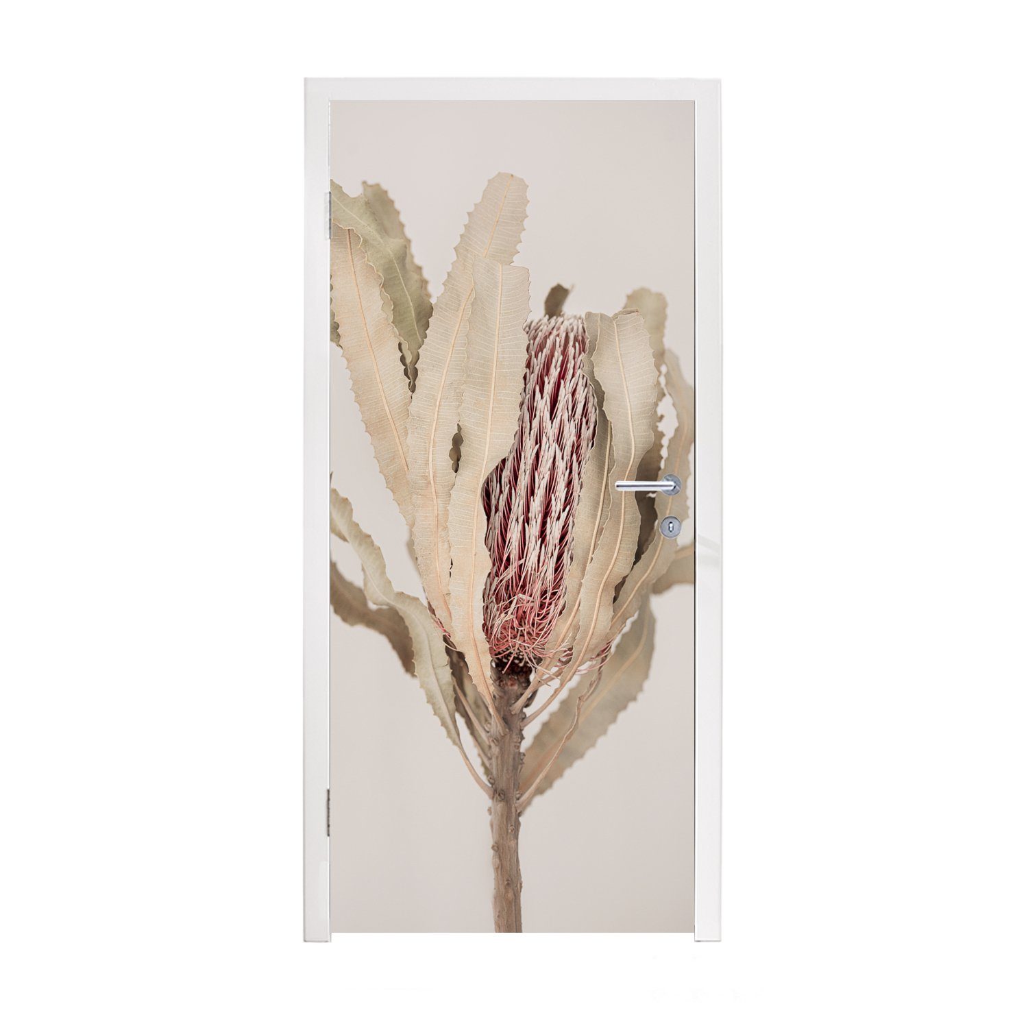 Fototapete MuchoWow für St), cm bedruckt, Türaufkleber, - Türtapete (1 Matt, Pflanze Grau, Braun Tür, - Natur 75x205 -