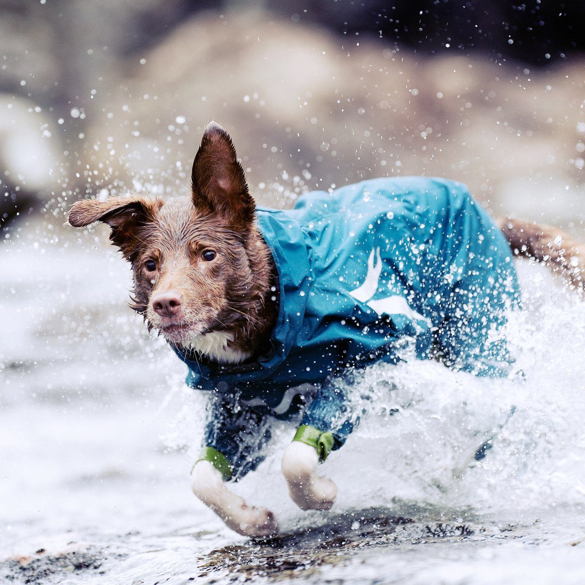 HURTTA Hundeoverall Slush Combat Overall petrol
