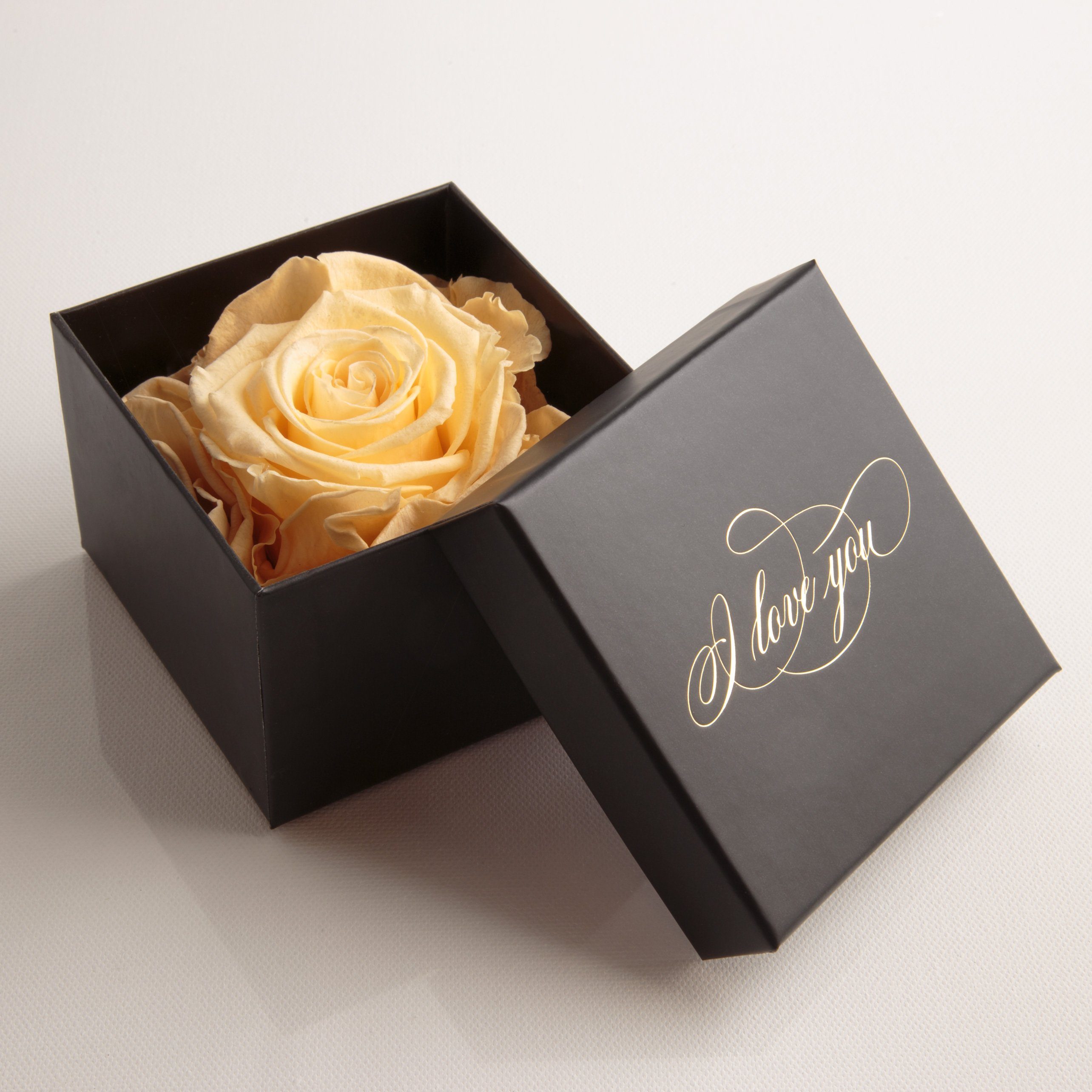 Rose Kunstblume Geschenk Rose, Heidelberg, SCHULZ You Echte Love Idee cm, ROSEMARIE konserviert Liebesbeweis I Höhe Beige 6 Rose Box Infinity