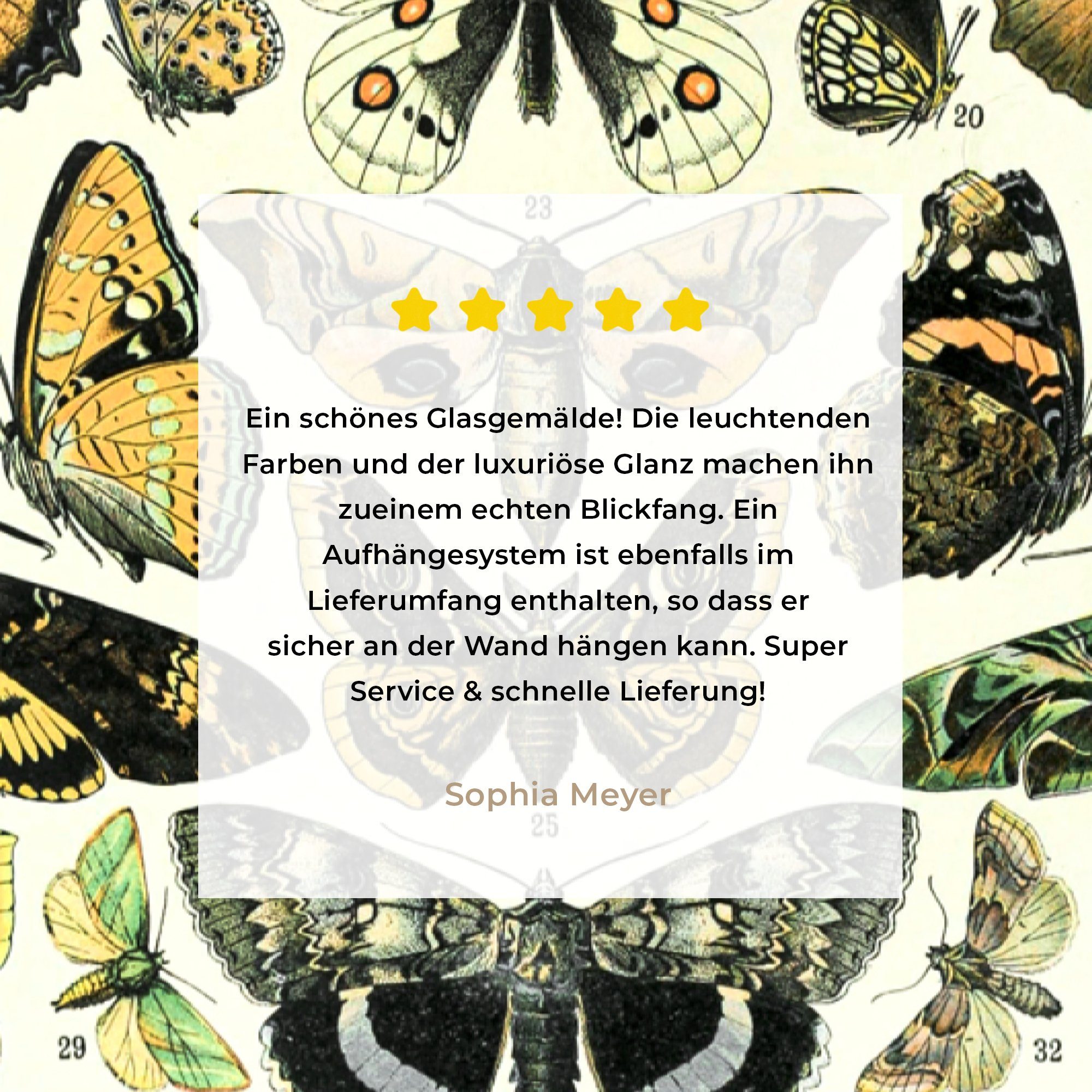 Bilder (1 Schmetterling - Acrylglasbild Insekten, Wanddekoration auf Glas MuchoWow Glasbilder - Glas - Wandbild auf Foto - St), - Tiere