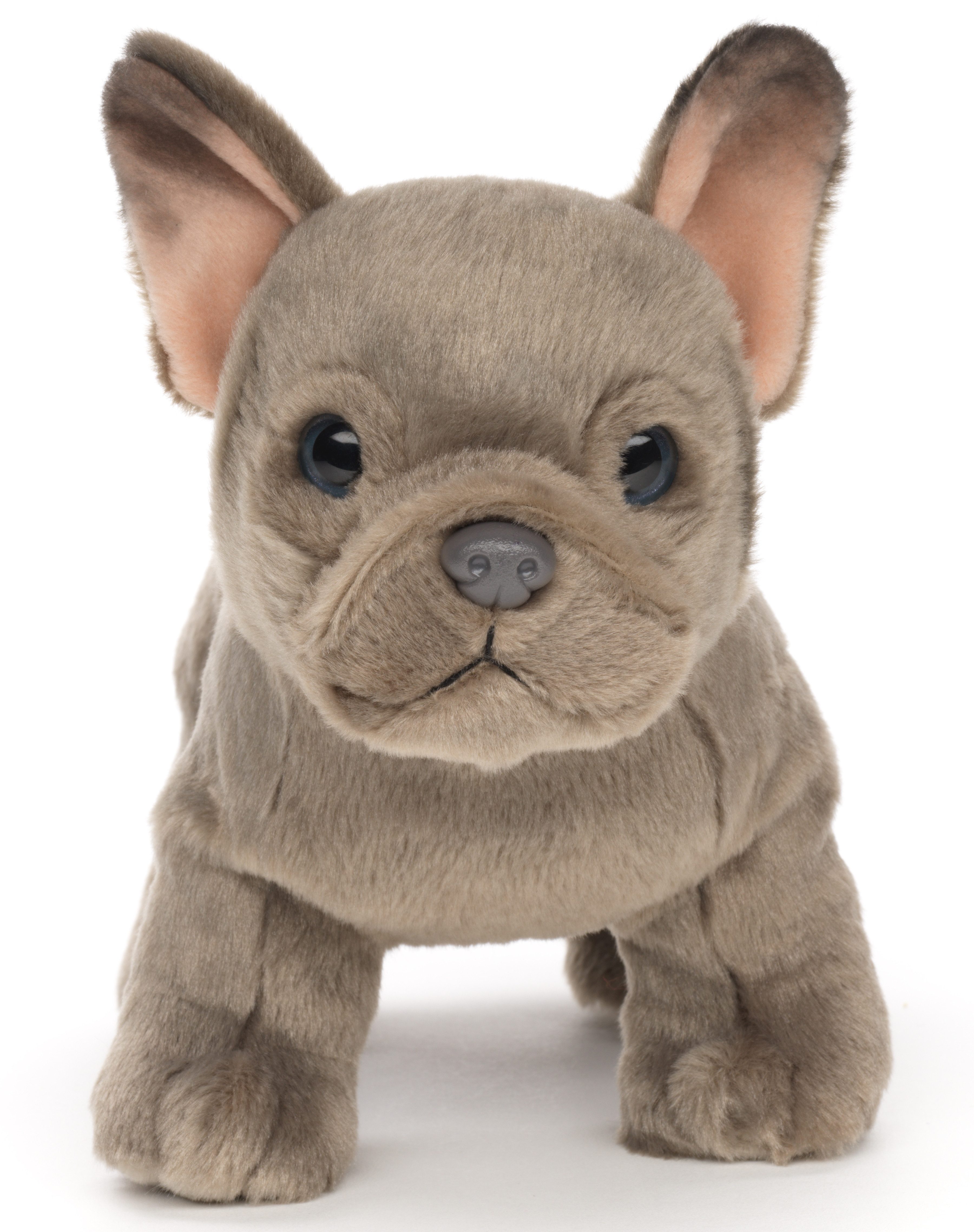 Kuscheltier Französische Bulldogge (grau) - Mit/Ohne Leine - 26 cm - Plüschtier