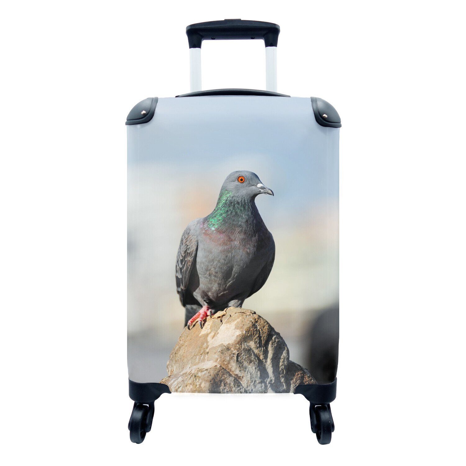 MuchoWow Handgepäckkoffer Eine Taube sitzt auf einem Stein, 4 Rollen, Reisetasche mit rollen, Handgepäck für Ferien, Trolley, Reisekoffer