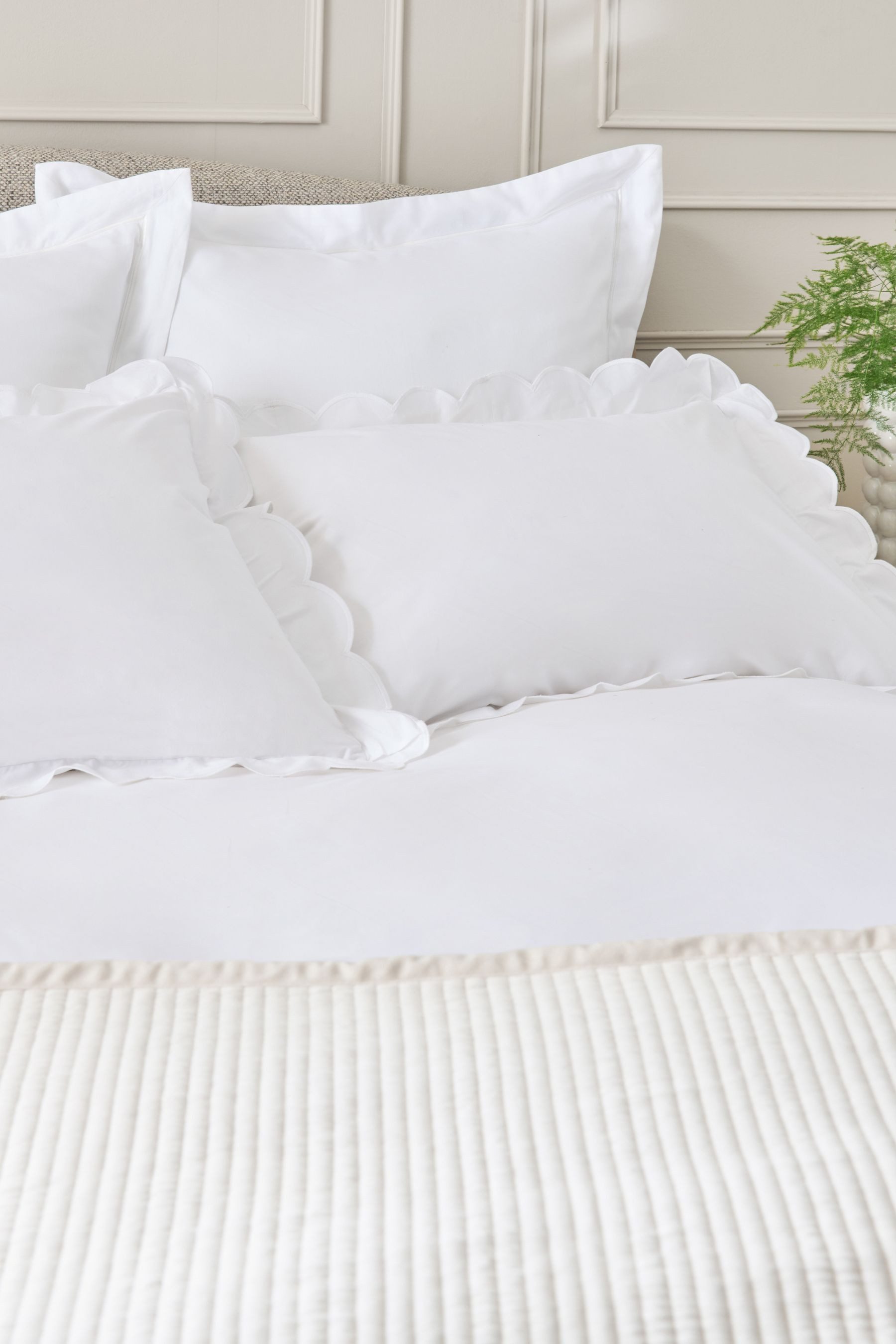 Next Bett-Set Bettgarnitur mit Bogenkante, Fadendichte: 200, Bezug: Baumwolle