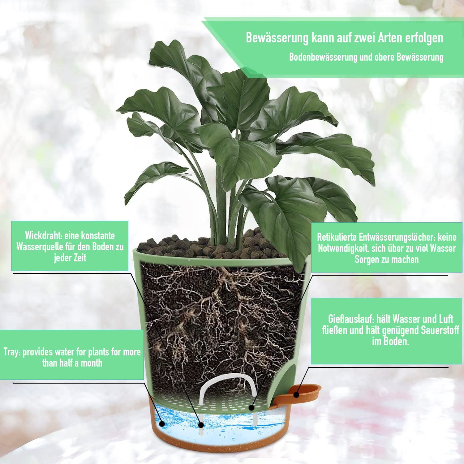 Set Blumentopf mit Wasserhyazinthenvase Bewässerungssystem, Kunststoff NUODWELL 6er