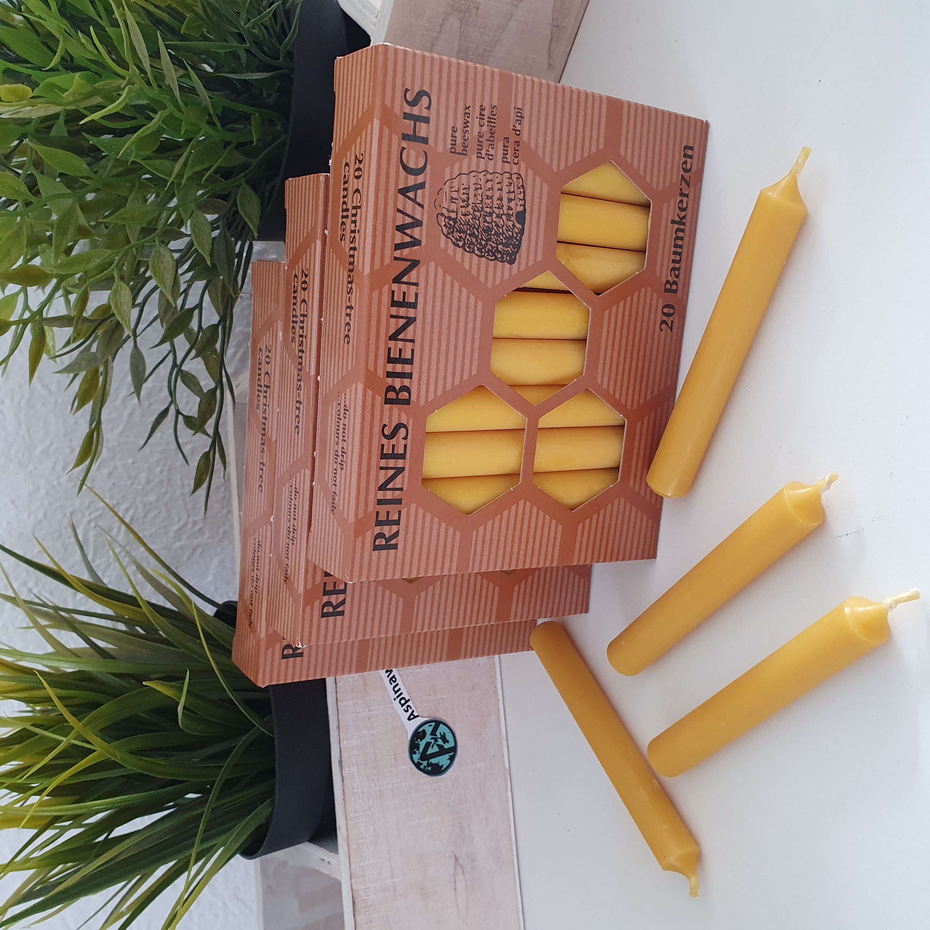 Aspinaworld Bienenwachskerze 60 Baumkerzen 100% Bienenwachs Christbaumkerzen