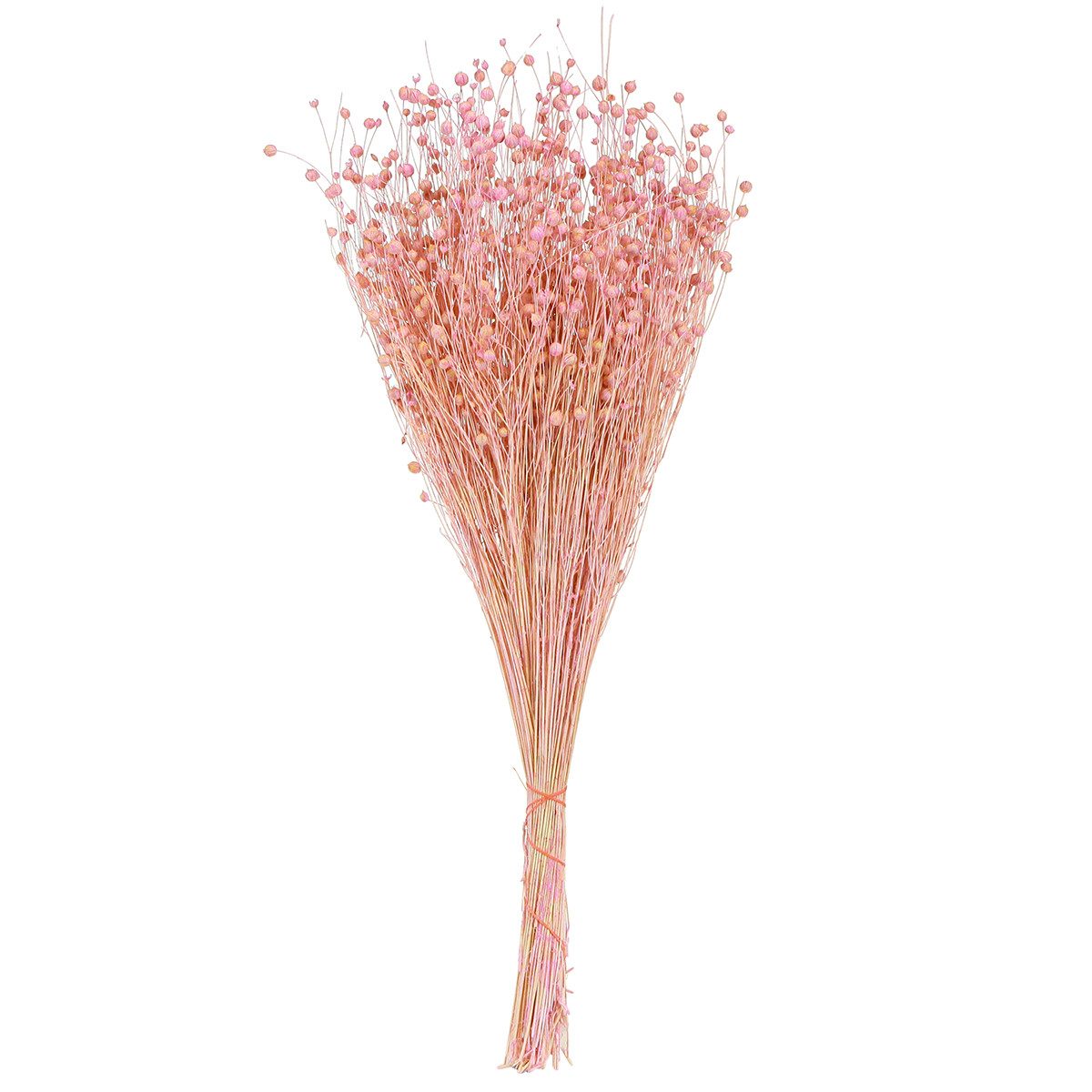 Trockenblume Trockengras Flachs Deko Blumenarrangement Tischdekoration, Viana, Höhe 15 cm