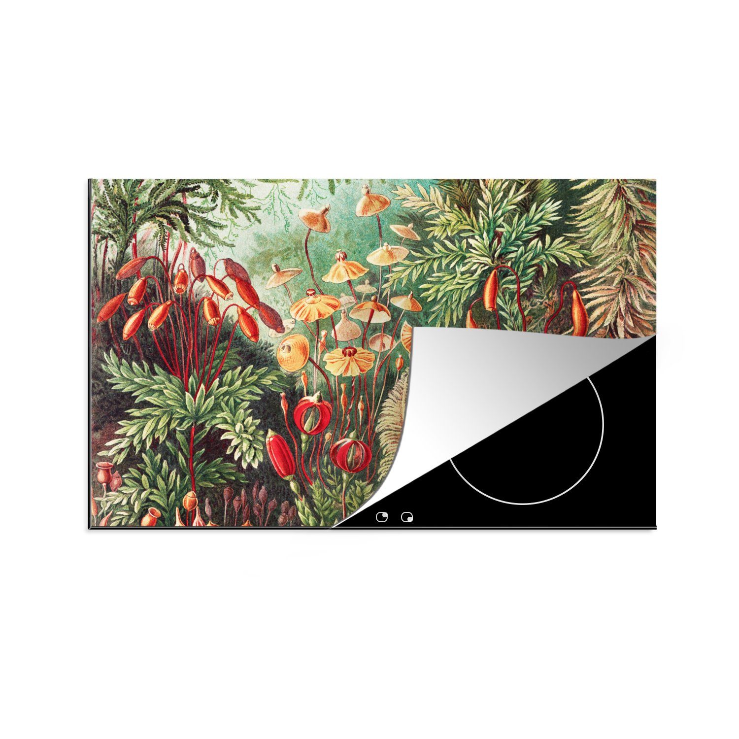 MuchoWow Herdblende-/Abdeckplatte Blumen - Kunst - Vintage - Natur - Botanisch, Vinyl, (1 tlg), 80x52 cm, Induktionskochfeld Schutz für die küche, Ceranfeldabdeckung