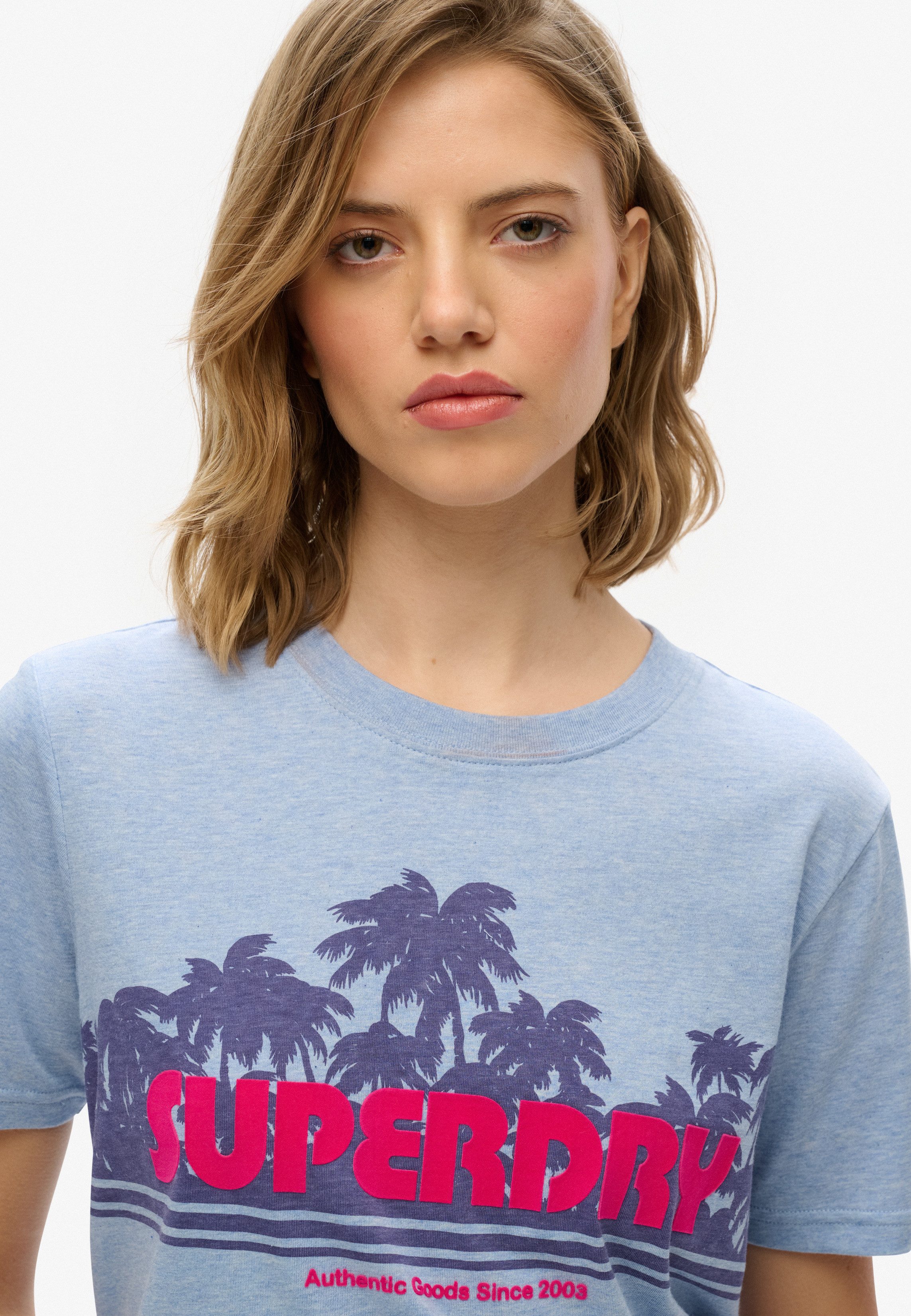 Superdry Kurzarmshirt OUTDOOR STRIPE RELAXED TEE günstig online kaufen