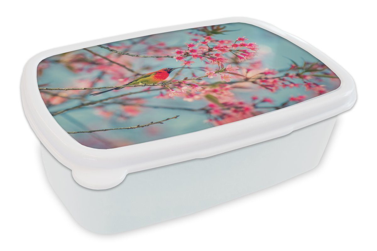 MuchoWow Lunchbox Vogel - Blüte - Rosa, Kunststoff, (2-tlg), Brotbox für Kinder und Erwachsene, Brotdose, für Jungs und Mädchen weiß