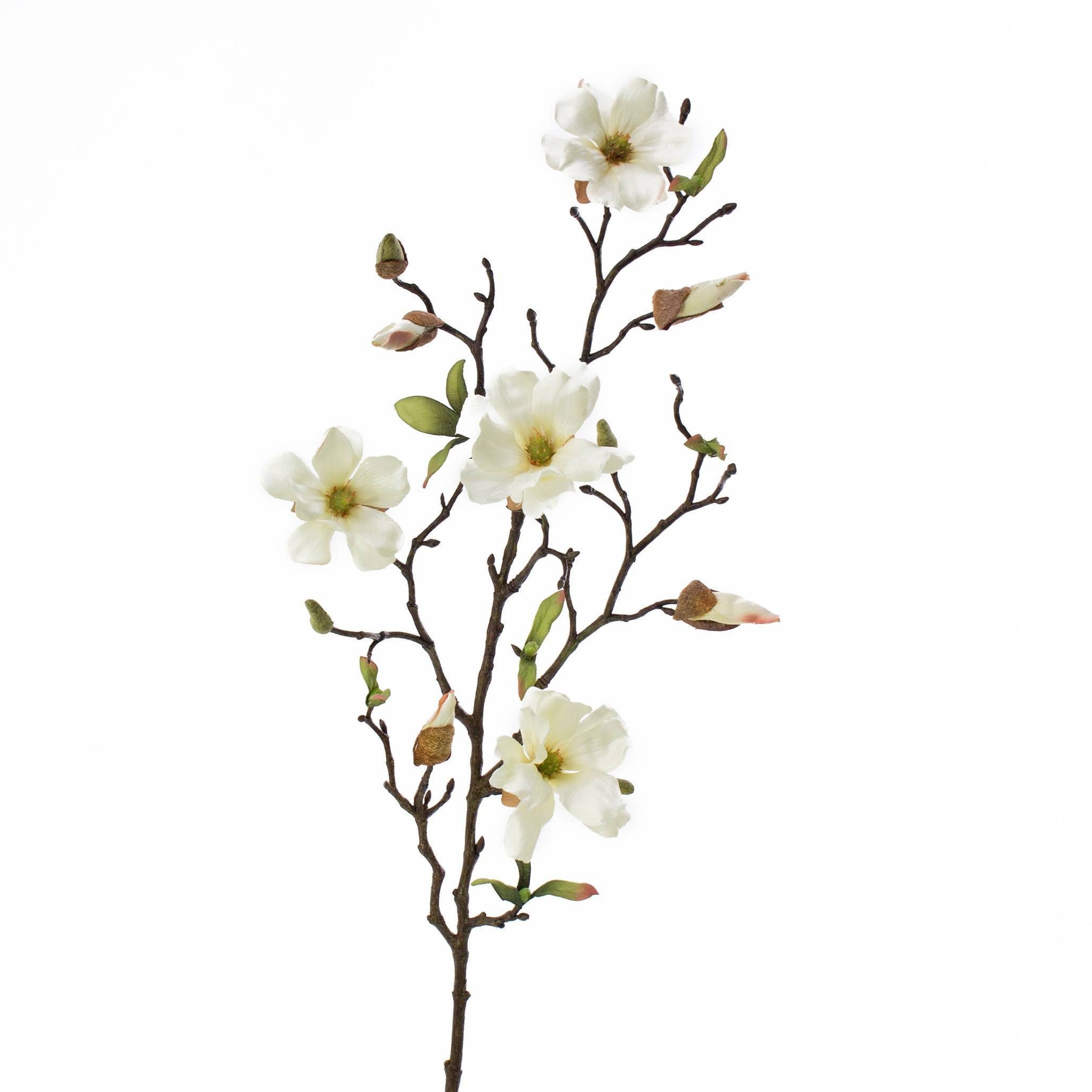 Kunstzweig Kunstblume Magnolienzweig LILO, 4 Blüten, Knospen, Creme - weiß, 75cm Magnolie, artplants, Höhe 75.0 cm