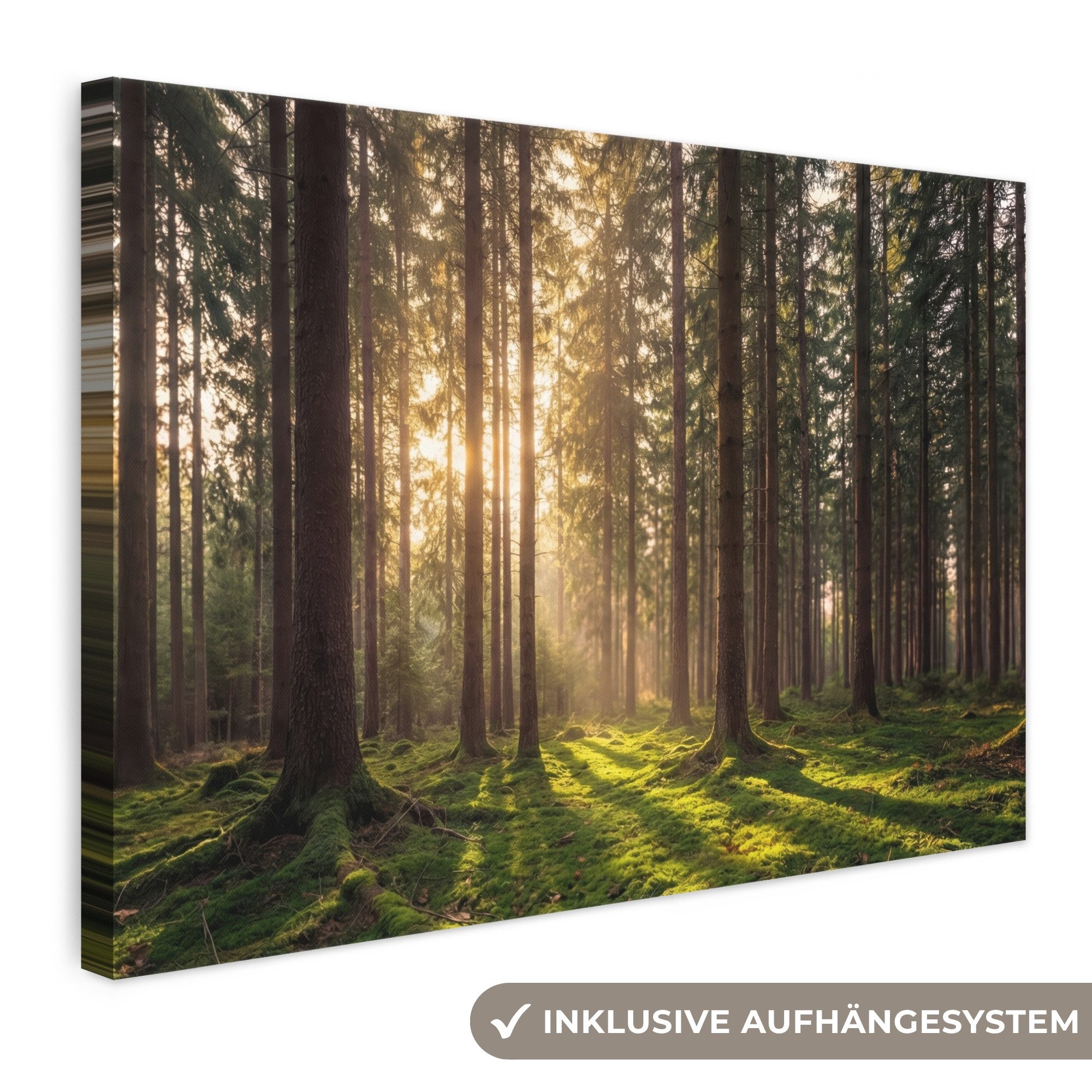 OneMillionCanvasses® Leinwandbild Wald - Gras - Sonnenlicht, Fotodruck (1 St), Leinwand Bilder Klein, Wand Dekoration Aesthetic 30x20 cm
