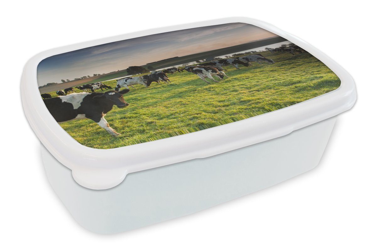 MuchoWow Lunchbox Kuh - Gras - Sonnenuntergang, Kunststoff, (2-tlg), Brotbox für Kinder und Erwachsene, Brotdose, für Jungs und Mädchen weiß