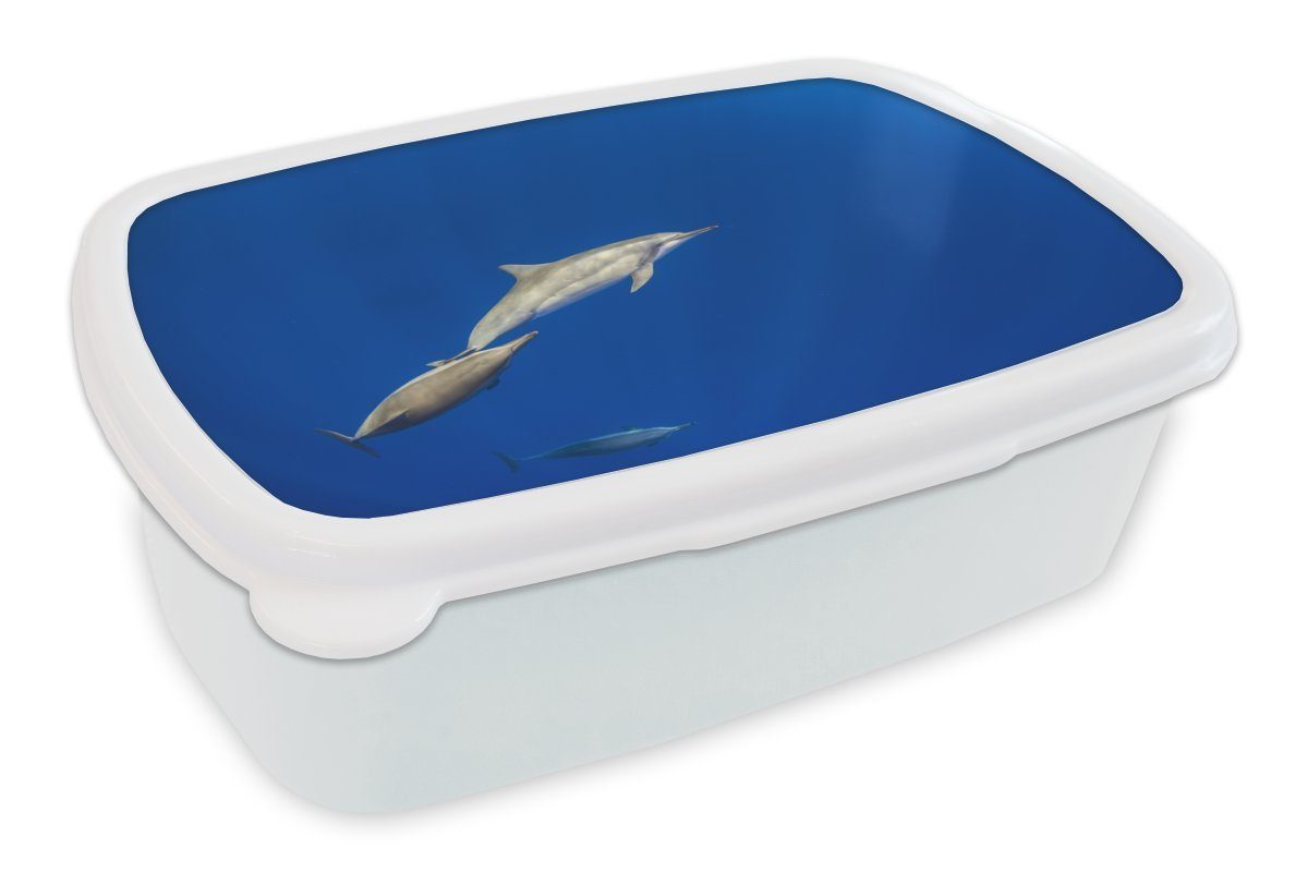 MuchoWow Lunchbox Delfin - Tier - Meer, Kunststoff, (2-tlg), Brotbox für Kinder und Erwachsene, Brotdose, für Jungs und Mädchen weiß