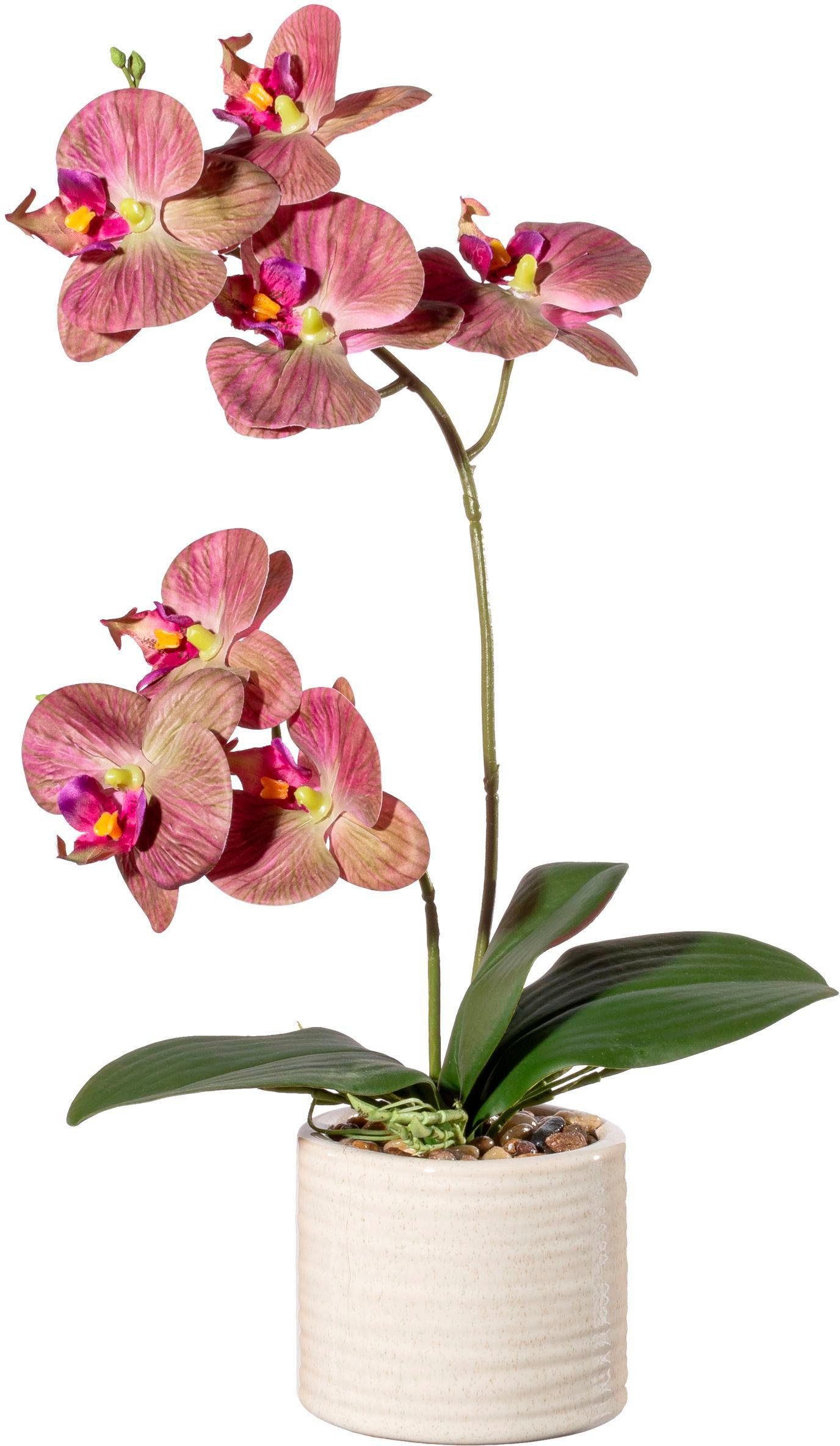 45 cm, Phalaenopsis in Orchidee Creativ Keramiktopf Orchidee green, Real-Touch-Blüten Phalaenopsis, Kunstorchidee mit Höhe