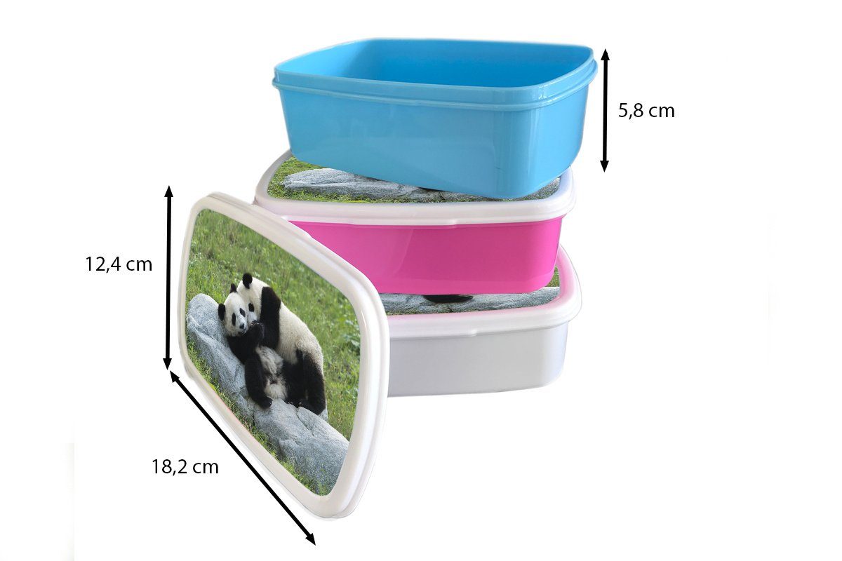 Jungs - Mädchen Kinder für Erwachsene, Brotbox für (2-tlg), und Kunststoff, weiß MuchoWow - Stein, Brotdose, Lunchbox und Gras Pandas