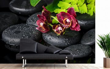Wallario Vliestapete Dunkelrote Orchideen-Blüte auf schwarzen Steinen mit Regentropfen, seidenmatte Oberfläche