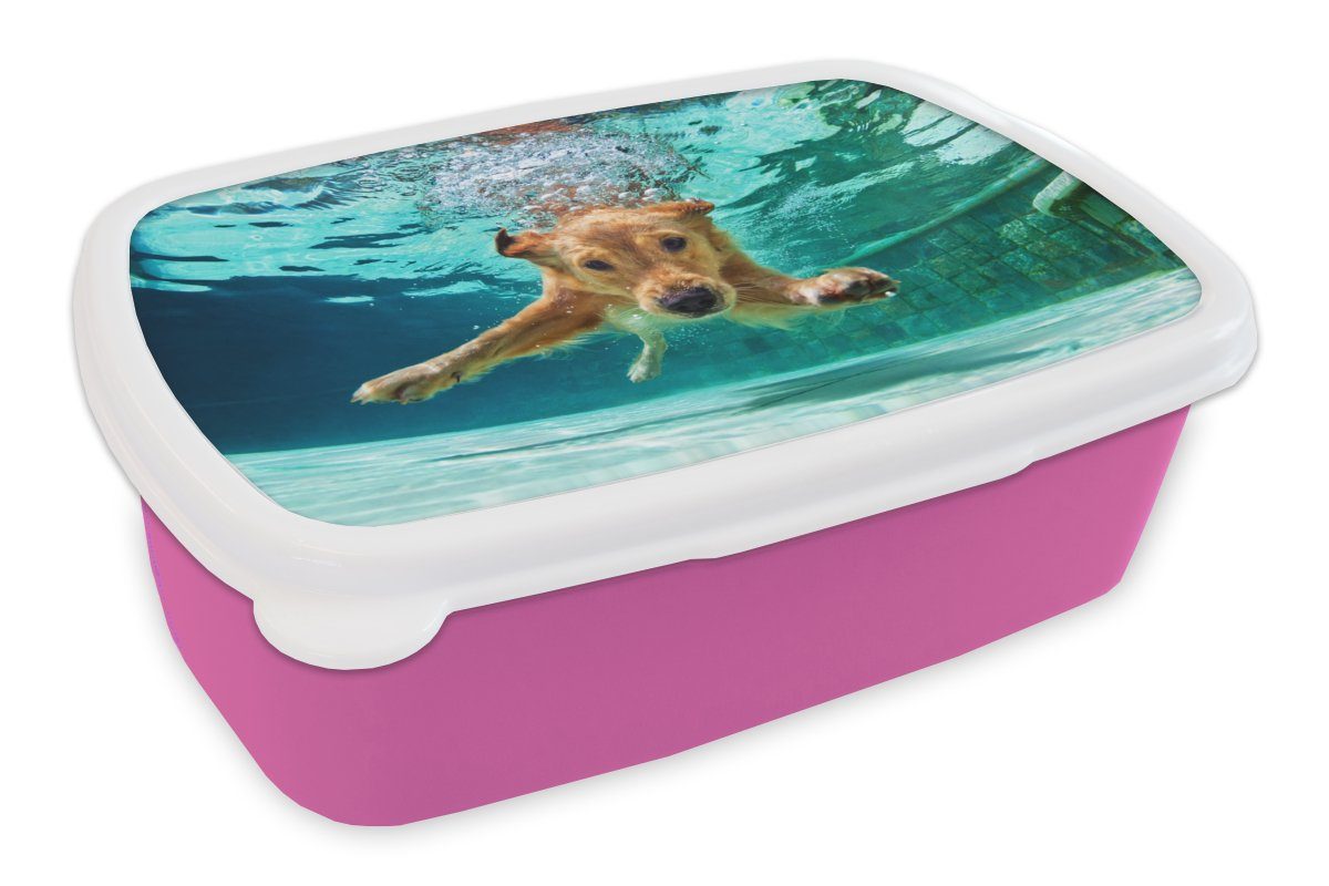 MuchoWow Lunchbox Pool - Hund - Wasser, Kunststoff, (2-tlg), Brotbox für Erwachsene, Brotdose Kinder, Snackbox, Mädchen, Kunststoff rosa
