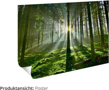 Artland Wandbild Weg im Wald, Wald (1 St), als Alubild, Outdoorbild, Leinwandbild, Poster in verschied. Größen